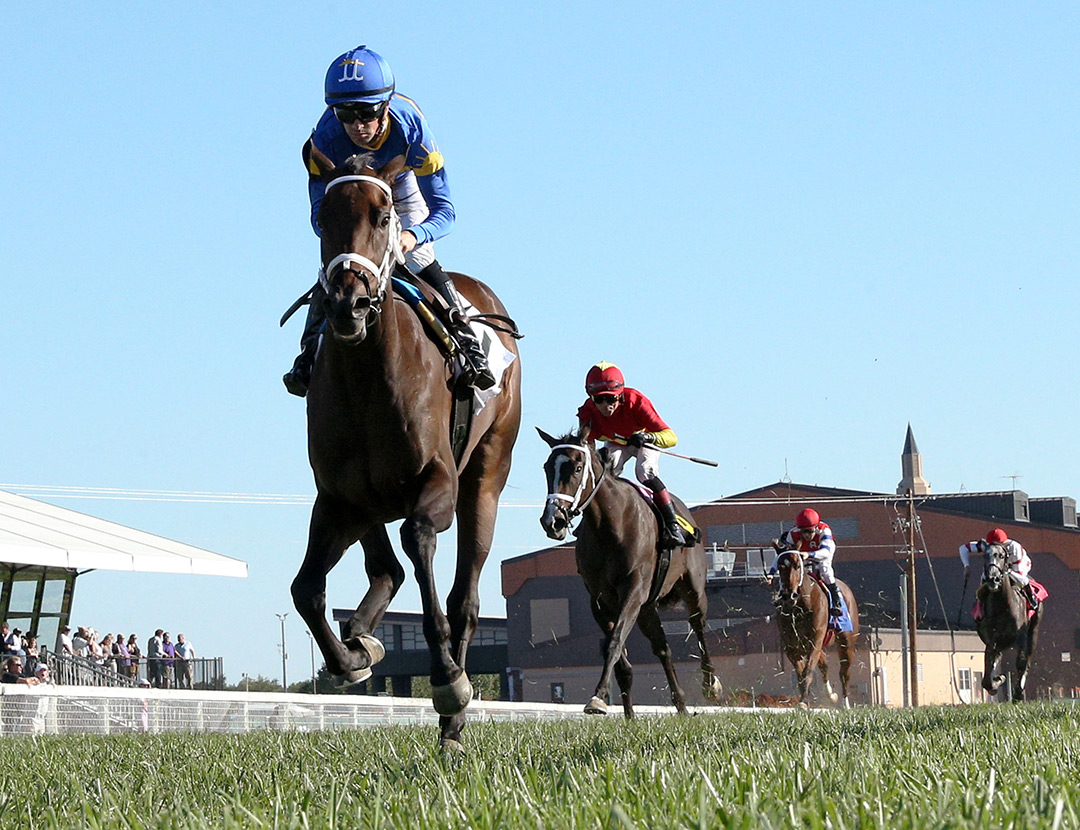 Turnerloose wins the 2021 Kentucky Downs Juvenile Fillies