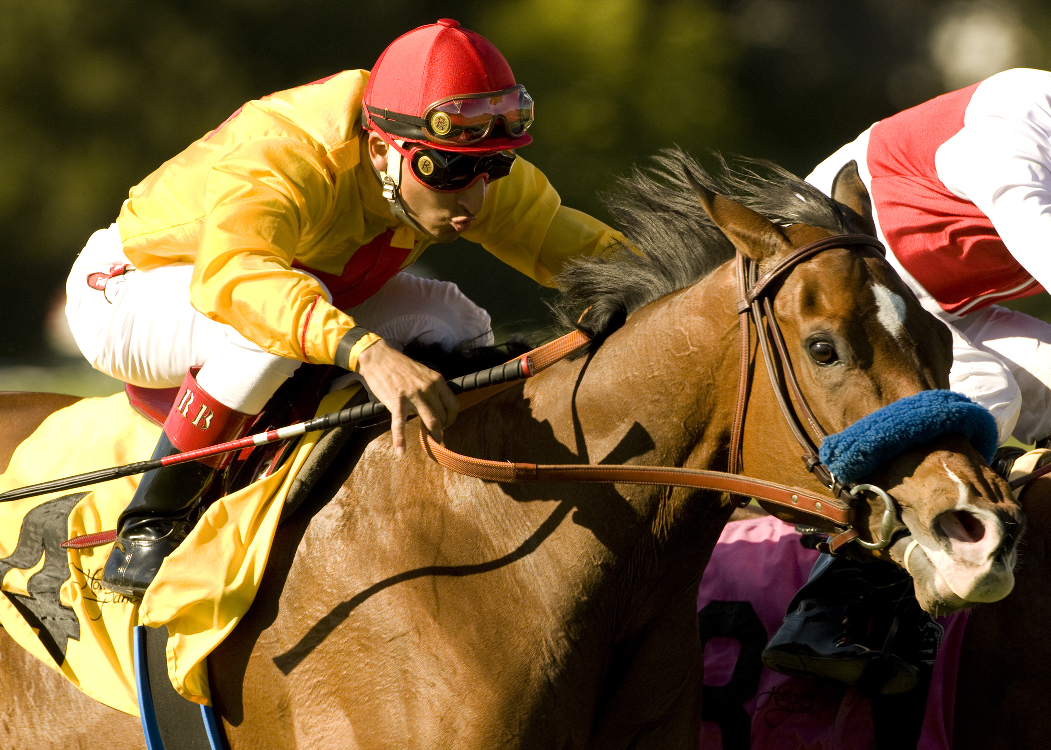 Tuscan Evening - Eclipse Awards