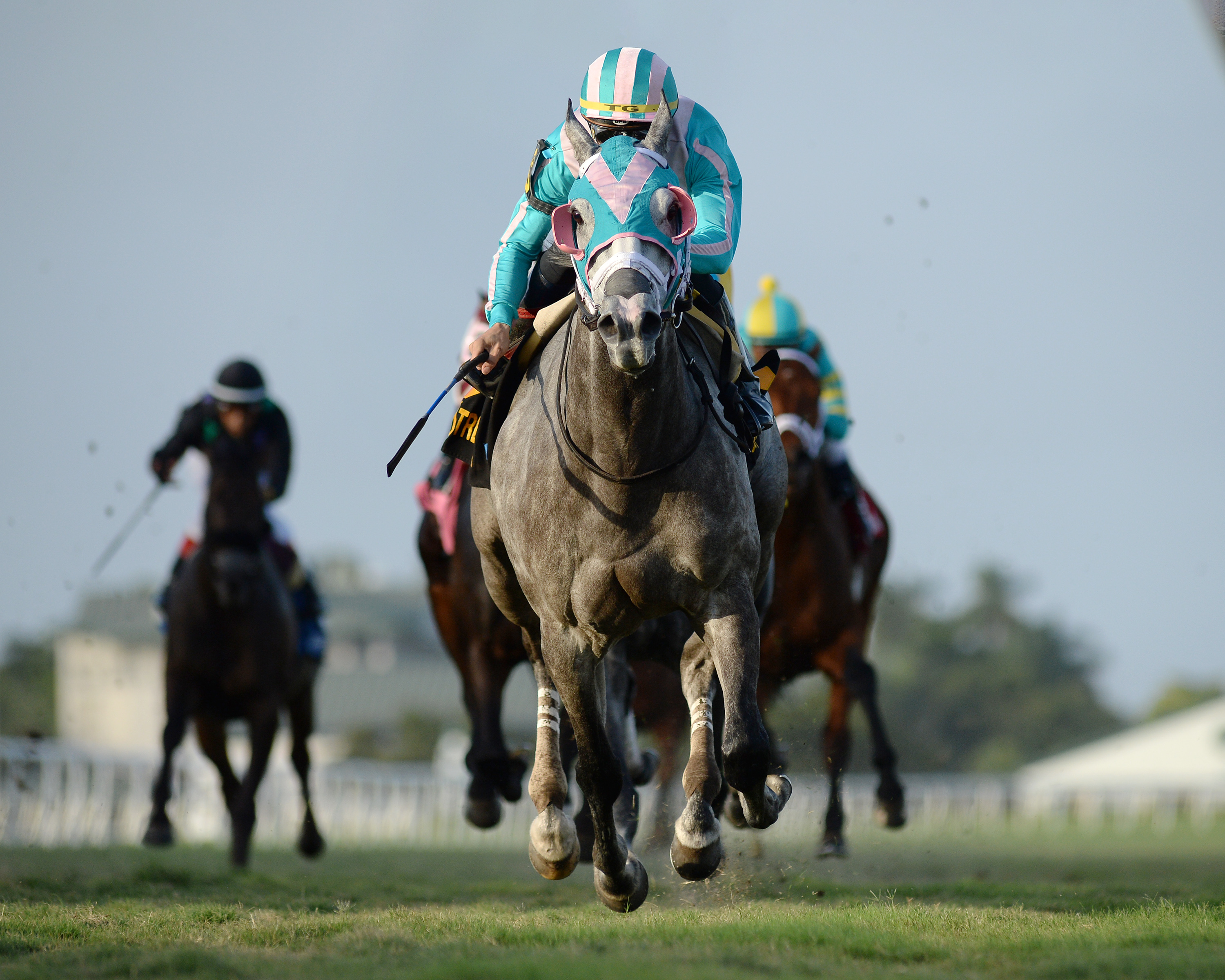 Tusk wins the 2020 Tropical Turf Stakes
