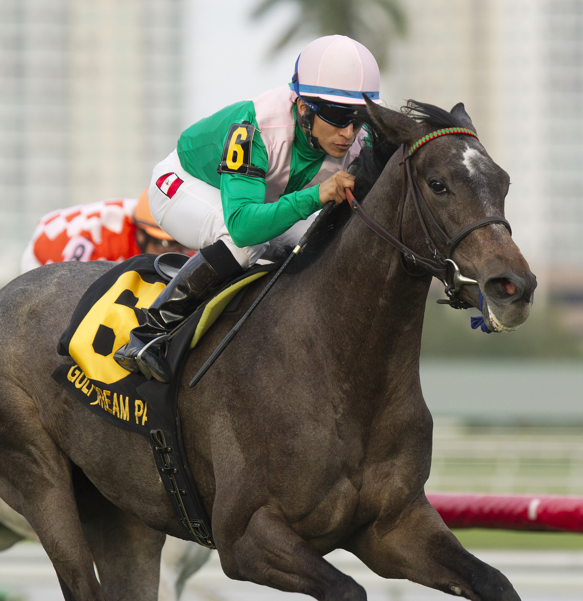 Tuttipaesi, Ginger Brew Stakes