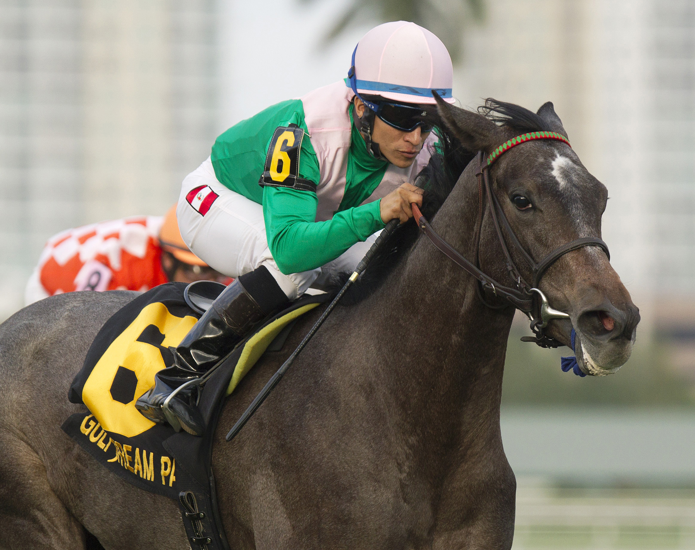 Tuttipaesi, Ginger Brew Stakes