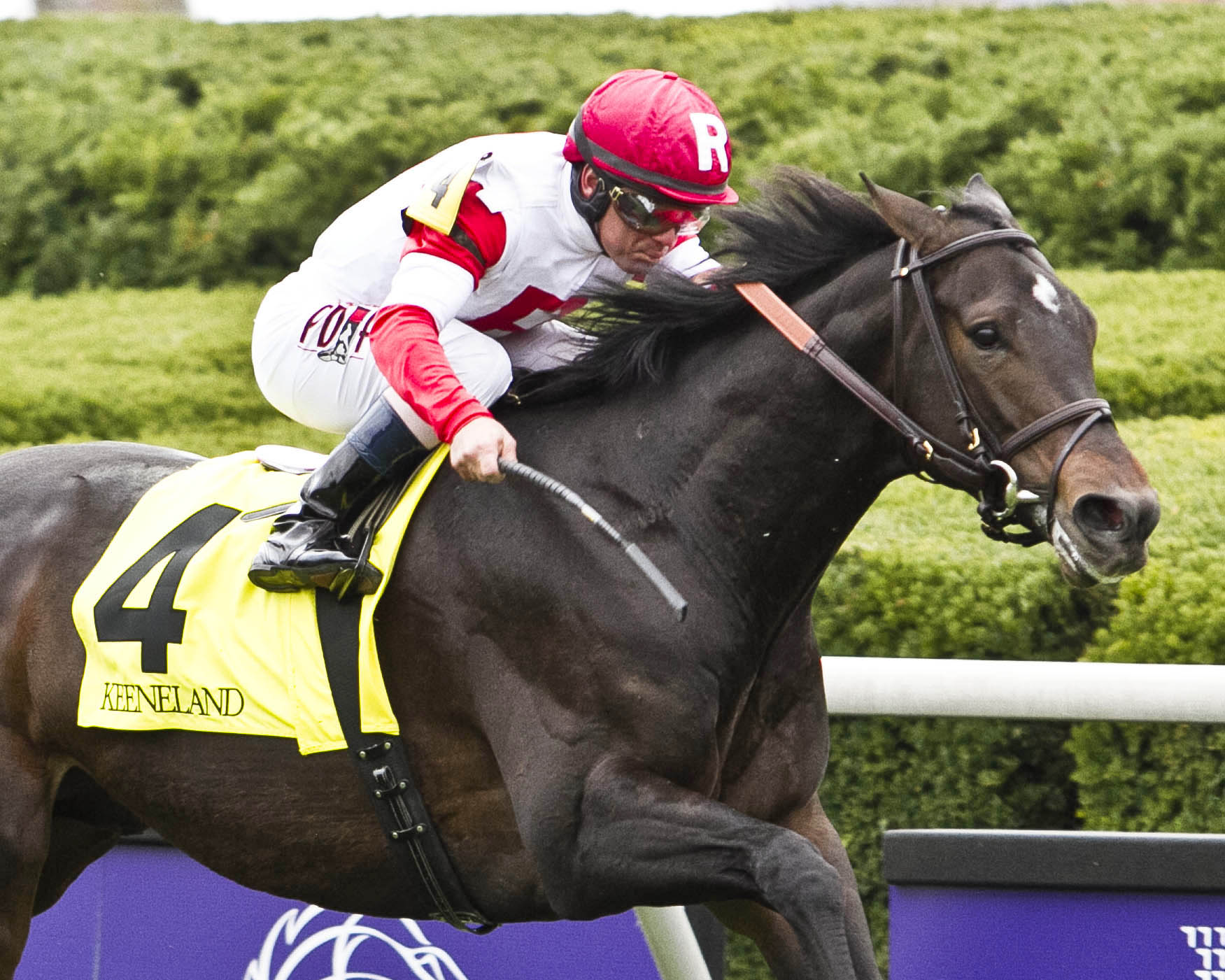 Tweet Kitten wins the Bryan Station Stakes