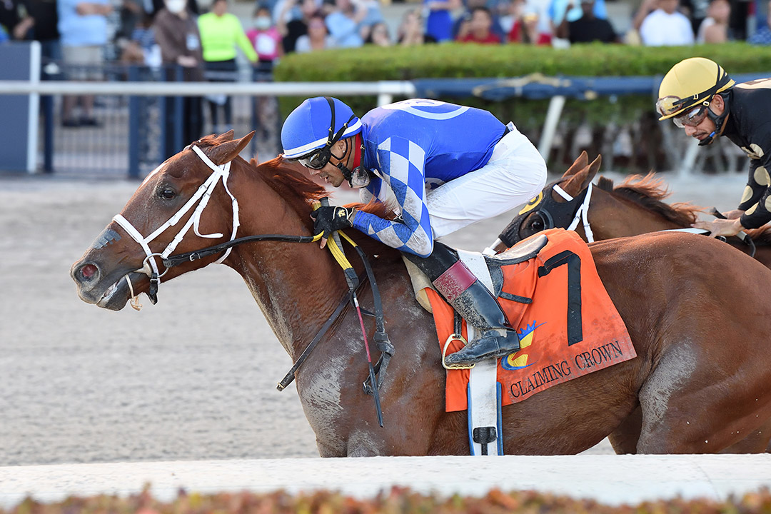Twelve Volt Man wins the 2021 Claiming Crown Jewel Stakes at Gulfstream Park
