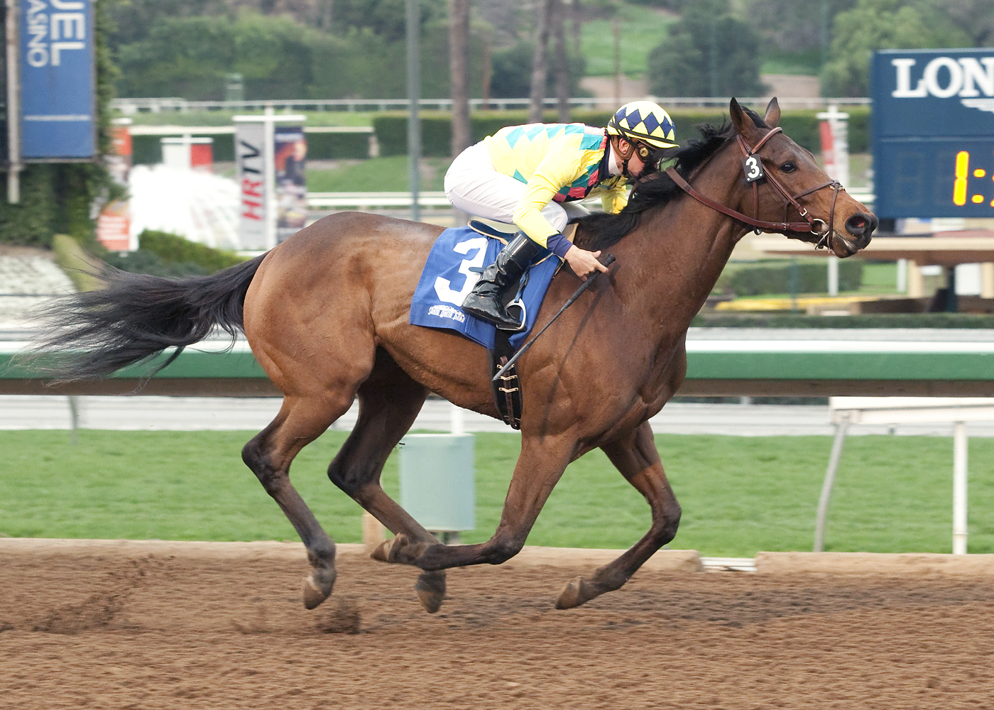 Twentytwentyvision wins a maiden race
