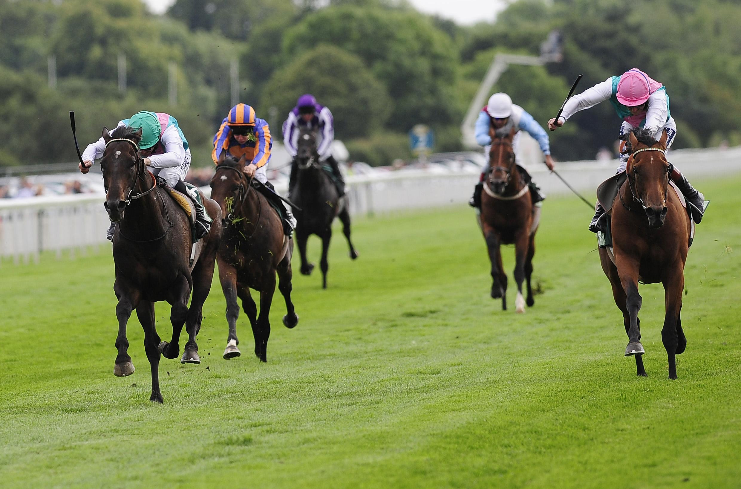 York: Twice Over bests stablemate in Juddmonte International Stakes