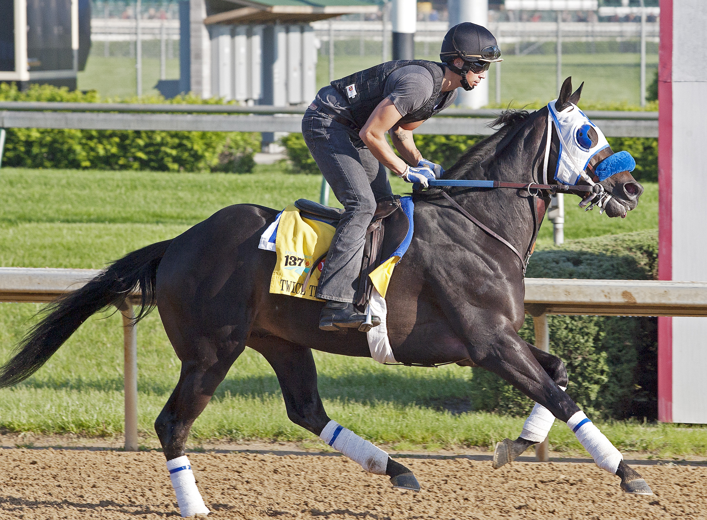 Twice the Appeal, May, 2011, Churchill Downs