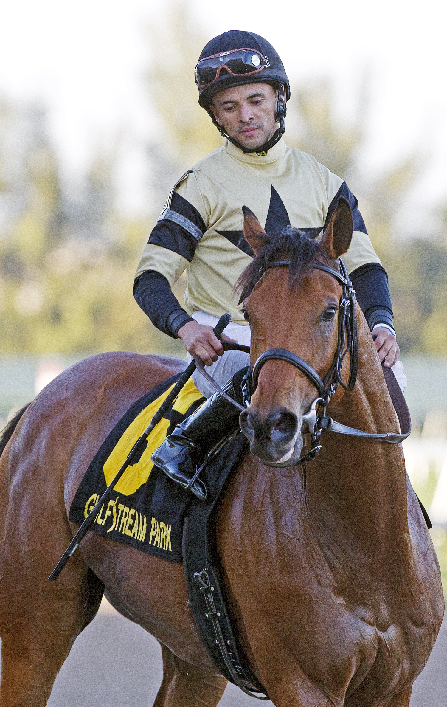 Twilight Eclipse after the 2014 Mac Diarmida