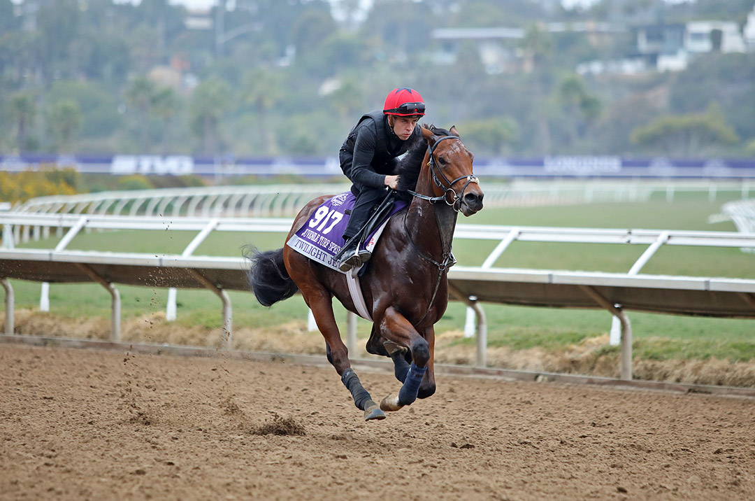 Twilight Jet trains at Del Mar on Nov. 2