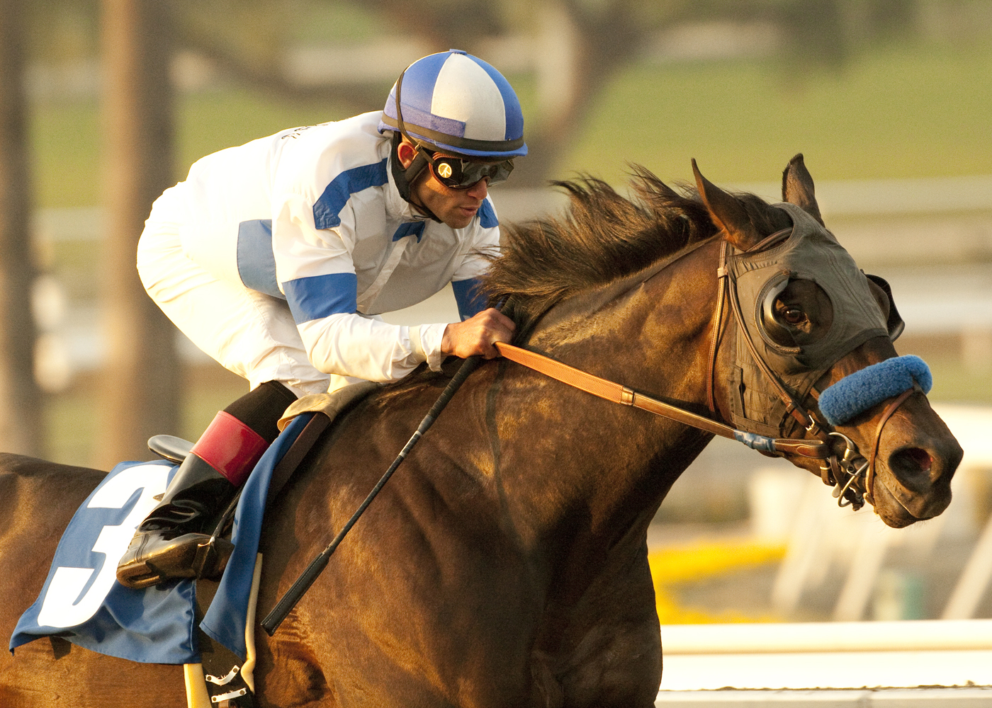 Twirling Candy wins Strub