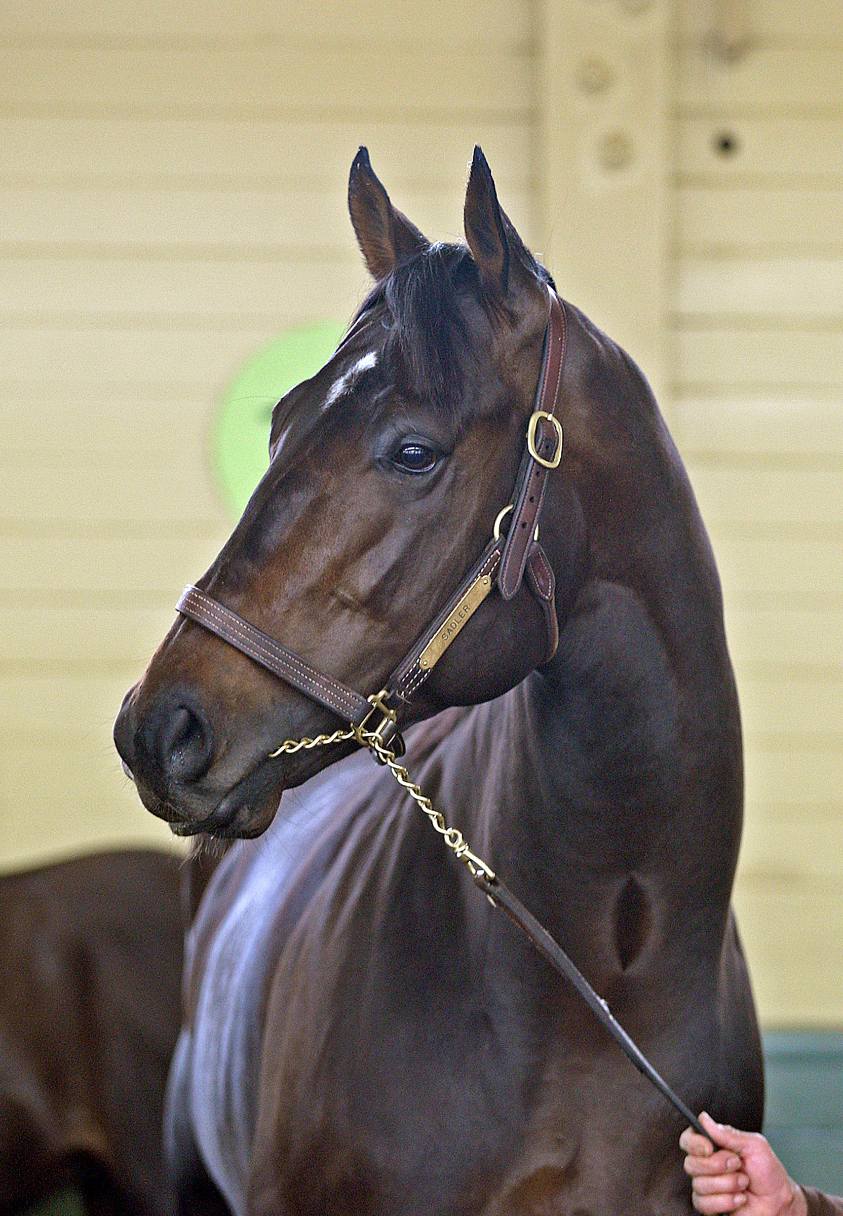 Twirling Candy at Santa Anita - March 2, 2011