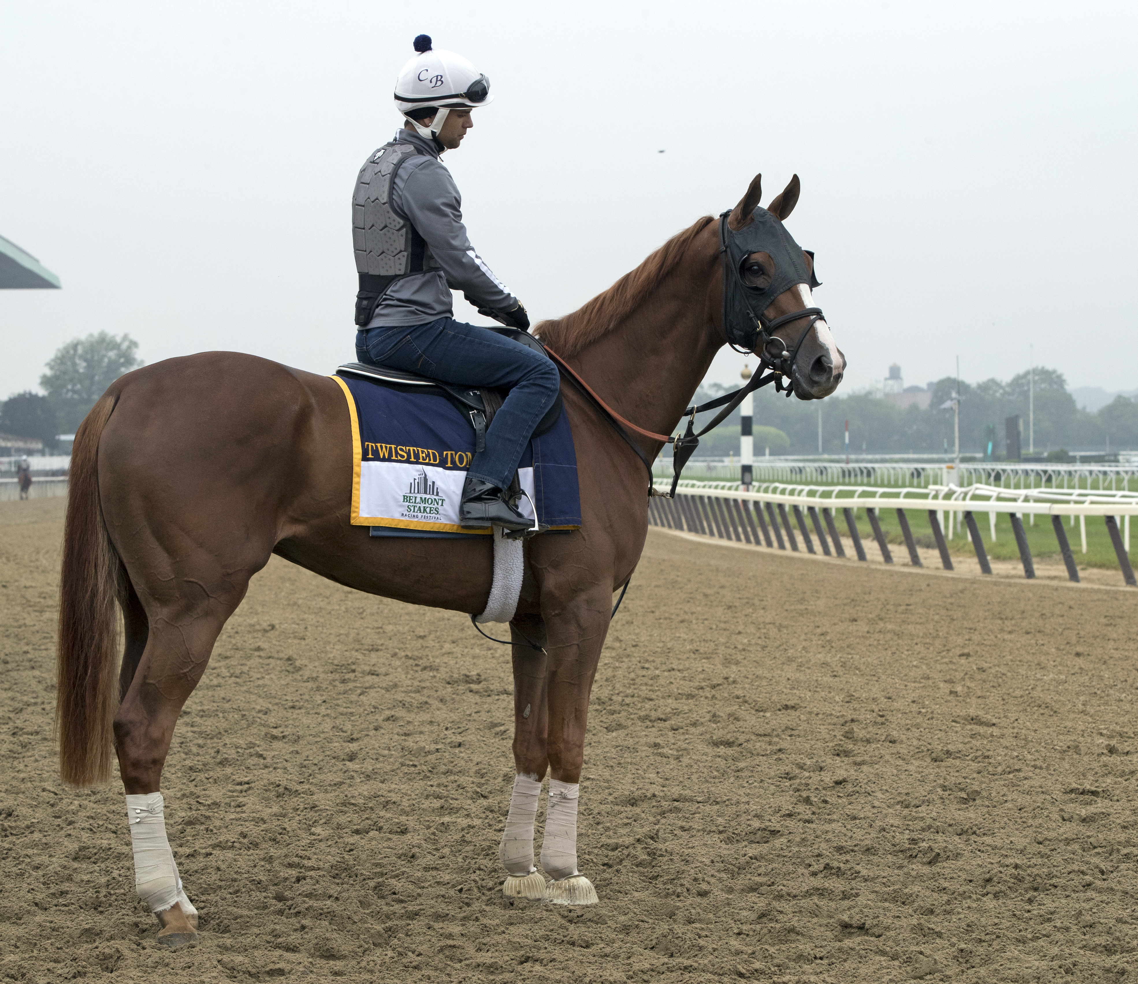 Twisted Tom at Belmont on June 5