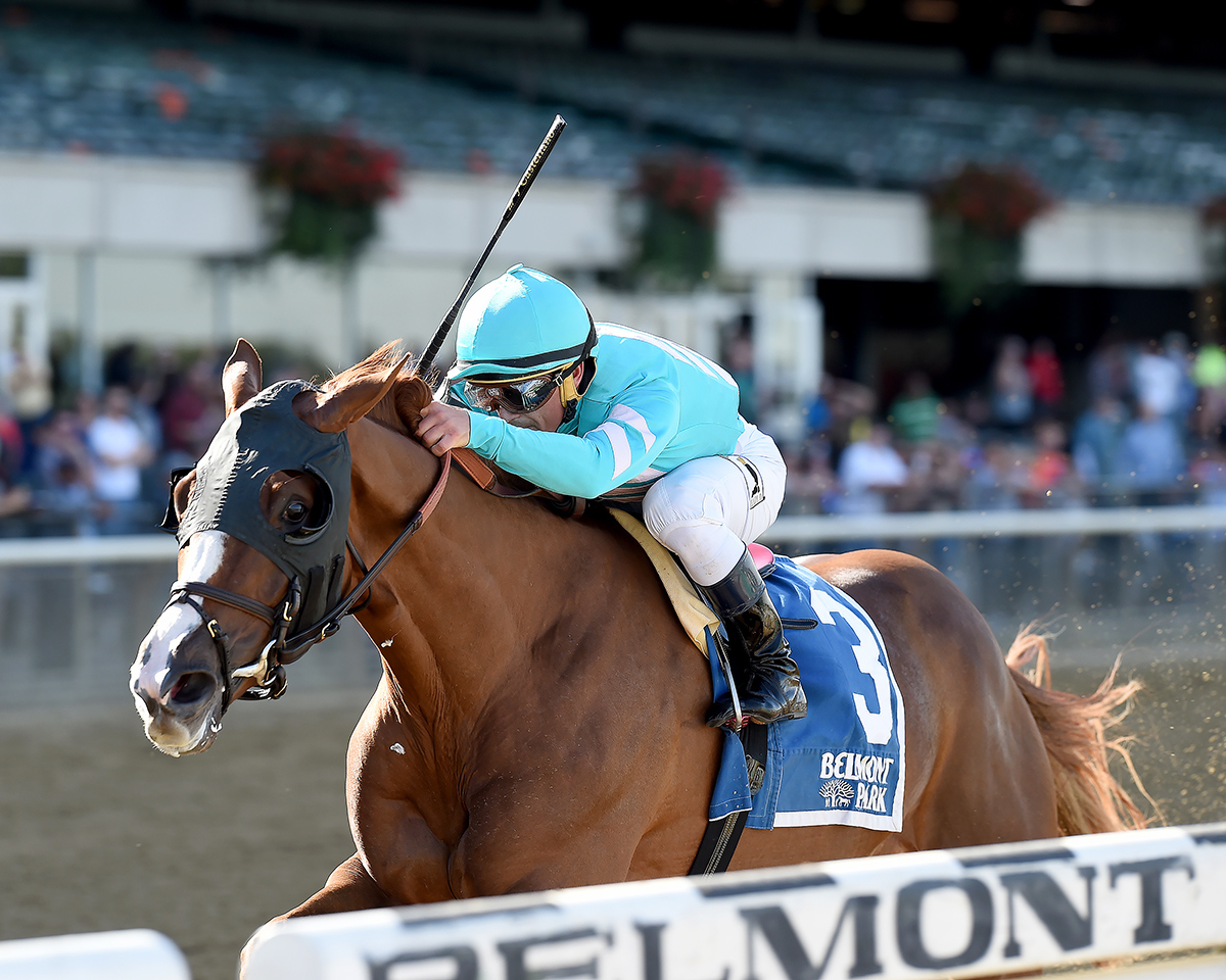 Twisted Tom wins the Empire Classic Handicap