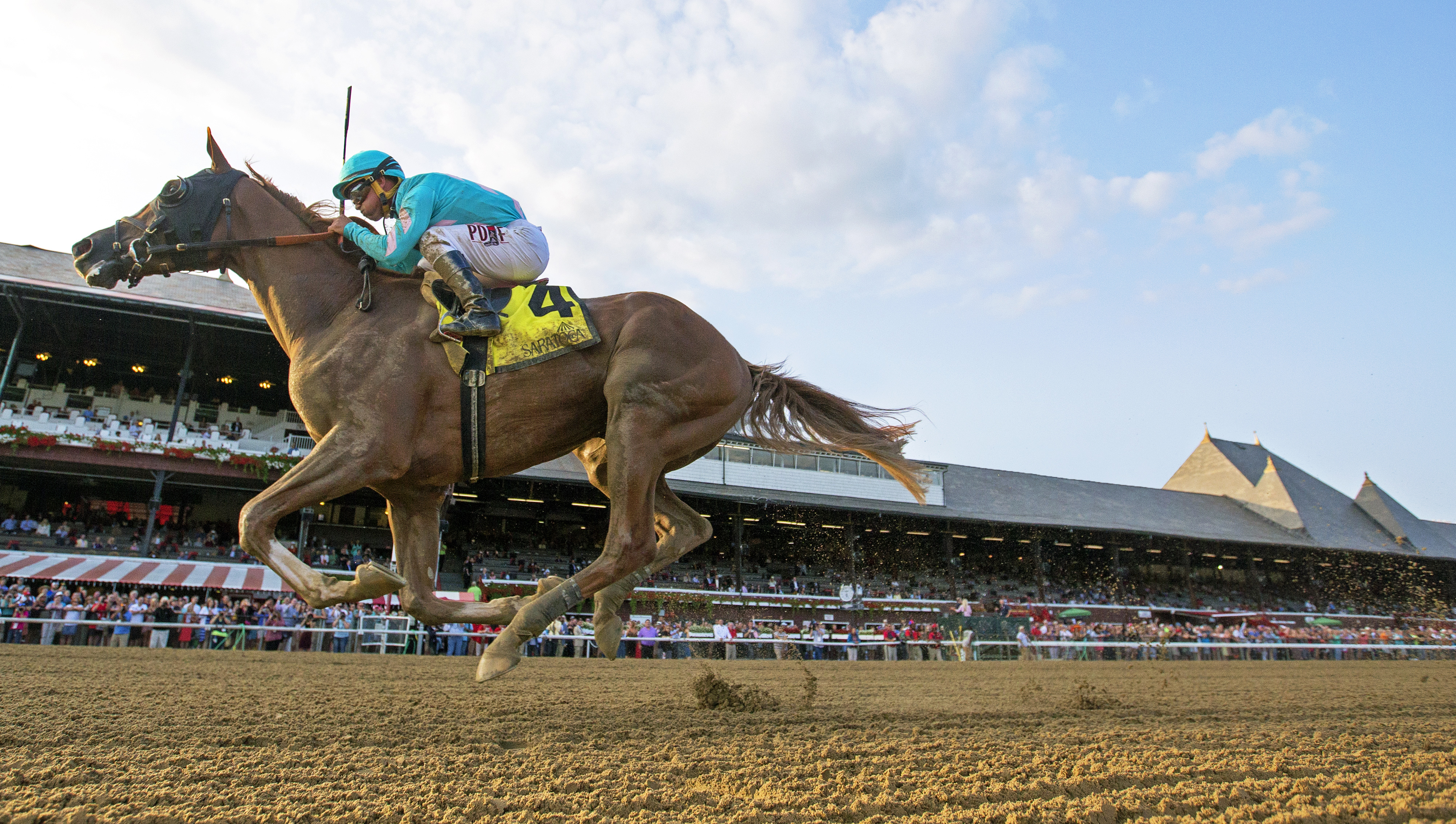 Twisted Tom wins the 2017 Albany Stakes