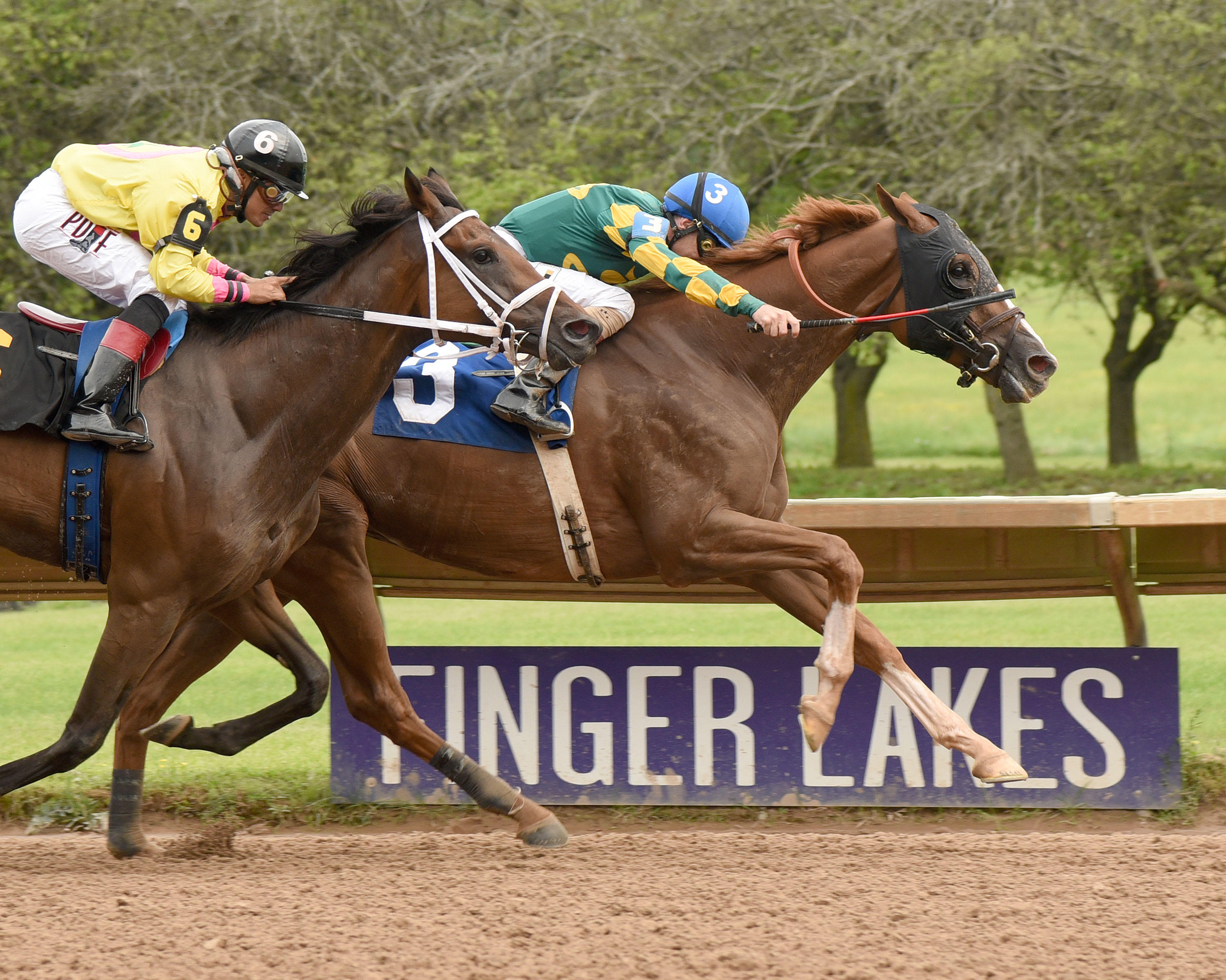 Twisted Tom wins the New York Derby at Finger Lakes Racetrack 7.22.17
