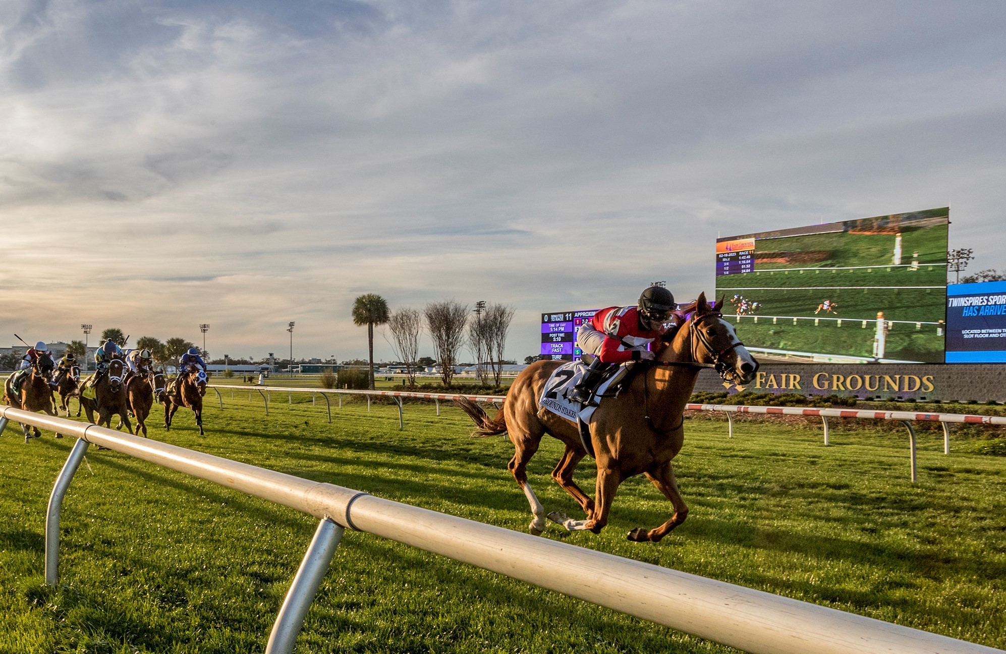 Two Emmys wins Fair Grounds Stakes Feb 18 2023