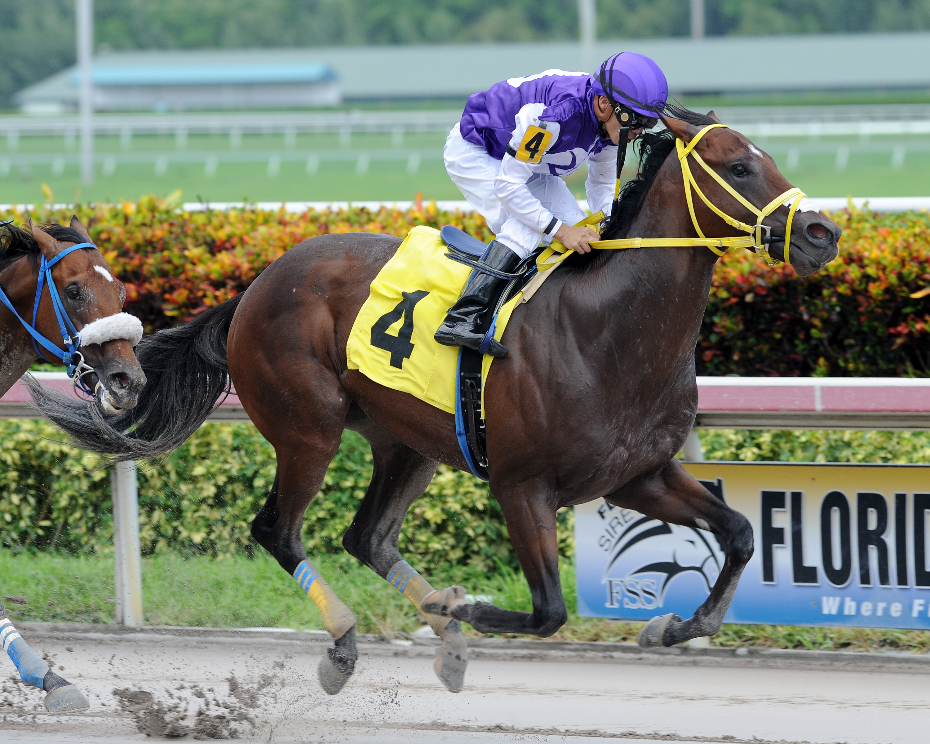 Two Steps Before wins a maiden race