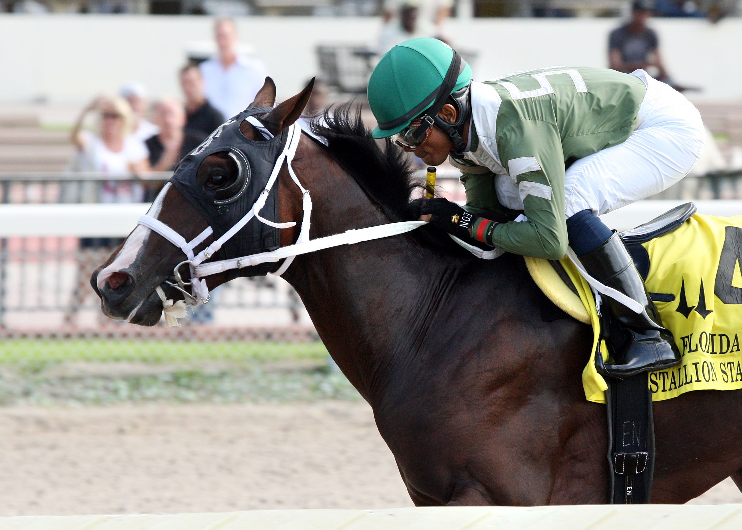Two T's at Two B/Florida Stallion Stakes - Dr. Fager Division