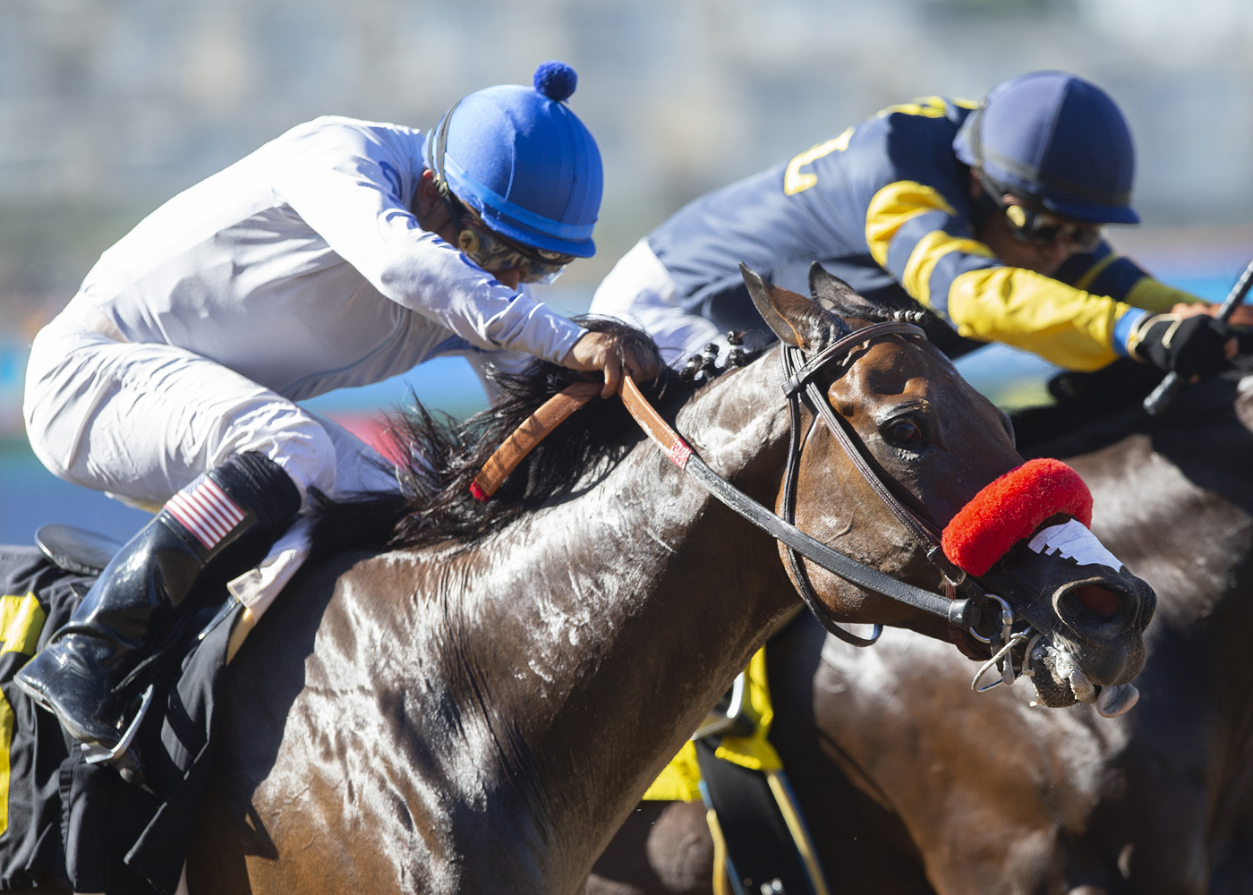 Two Thirty Five wins the 2019 Harry F. Brubaker Stakes