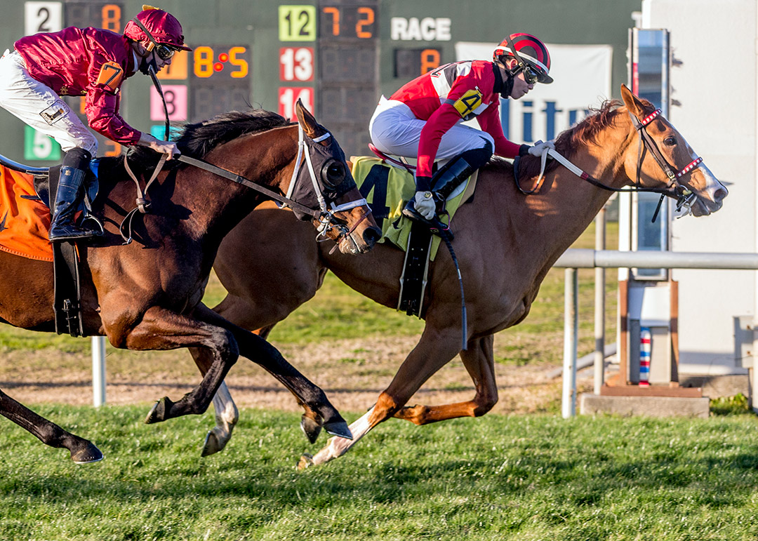 Two Emmys wins a Jan. 15 optional claiming race at Fair Grounds