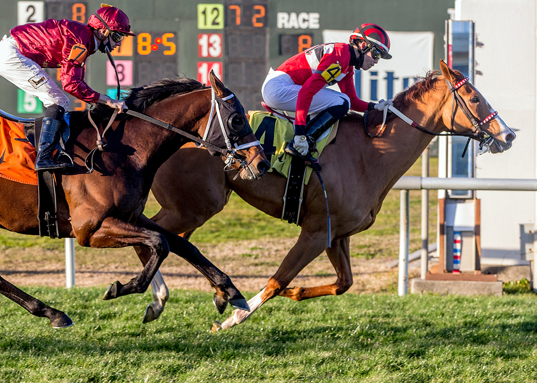 Two Emmys wins a Jan. 15 optional claiming race at Fair Grounds