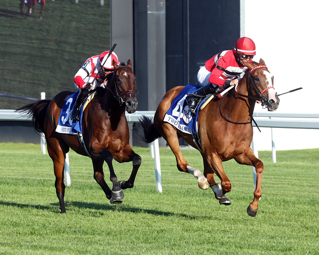 Two Emmys (right) beats Domestic Spending (left) to win the Mr. D. Stakes at Arlington Park