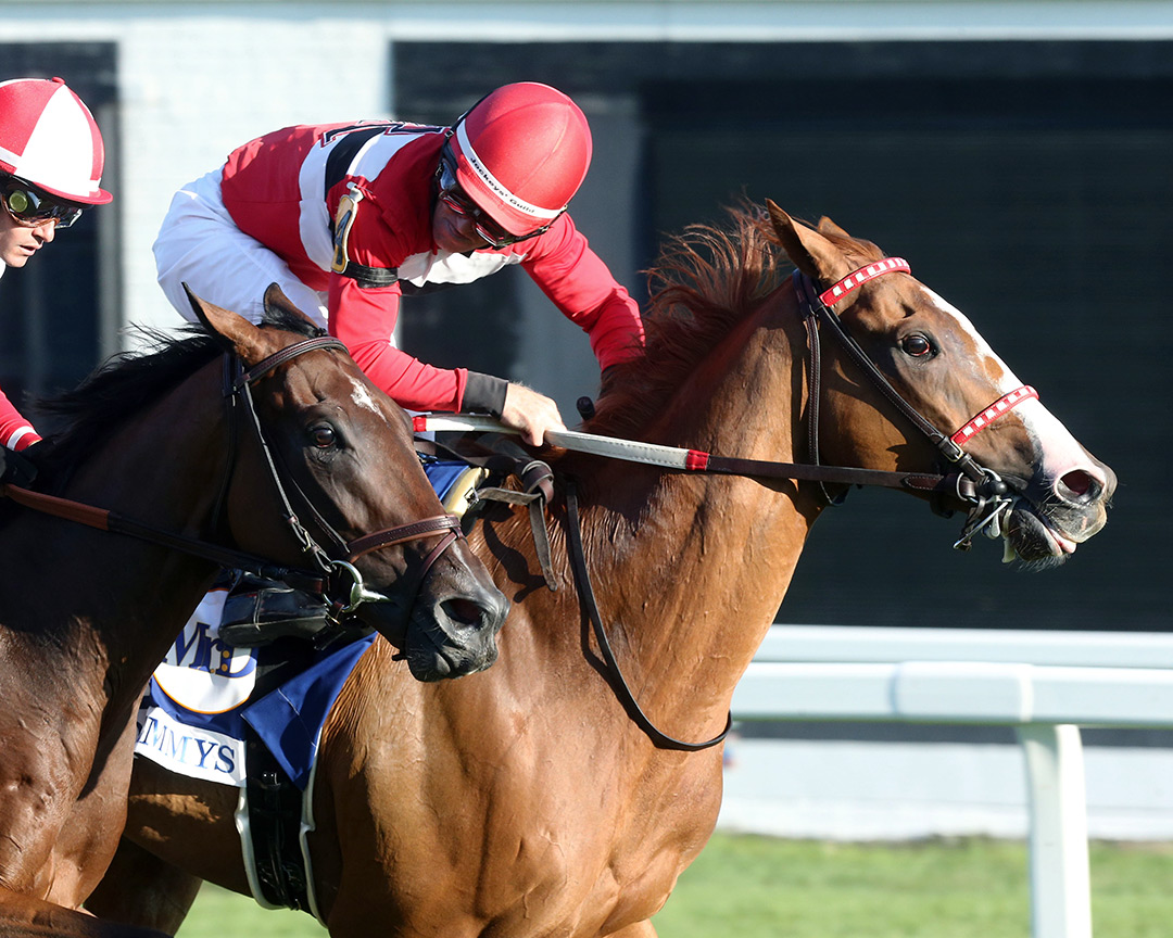 Two Emmys wins the 2021 Mister D Stakes at Arlington Park