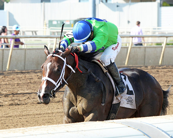Two Last Words wins the 2019 Hillsdale Stakes at Indiana Grand