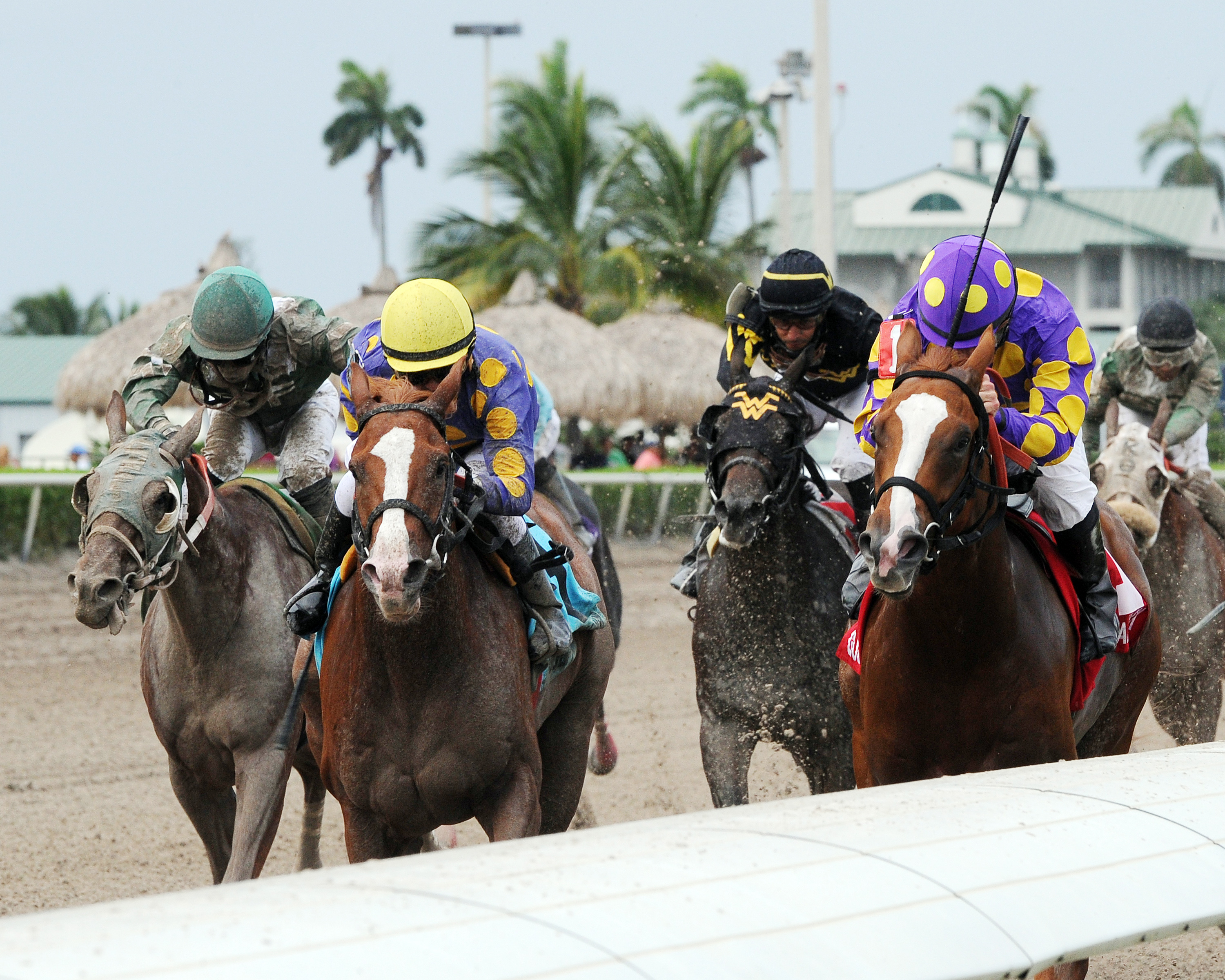 Twotwentyfive A wins the Florida Sire Affirmed