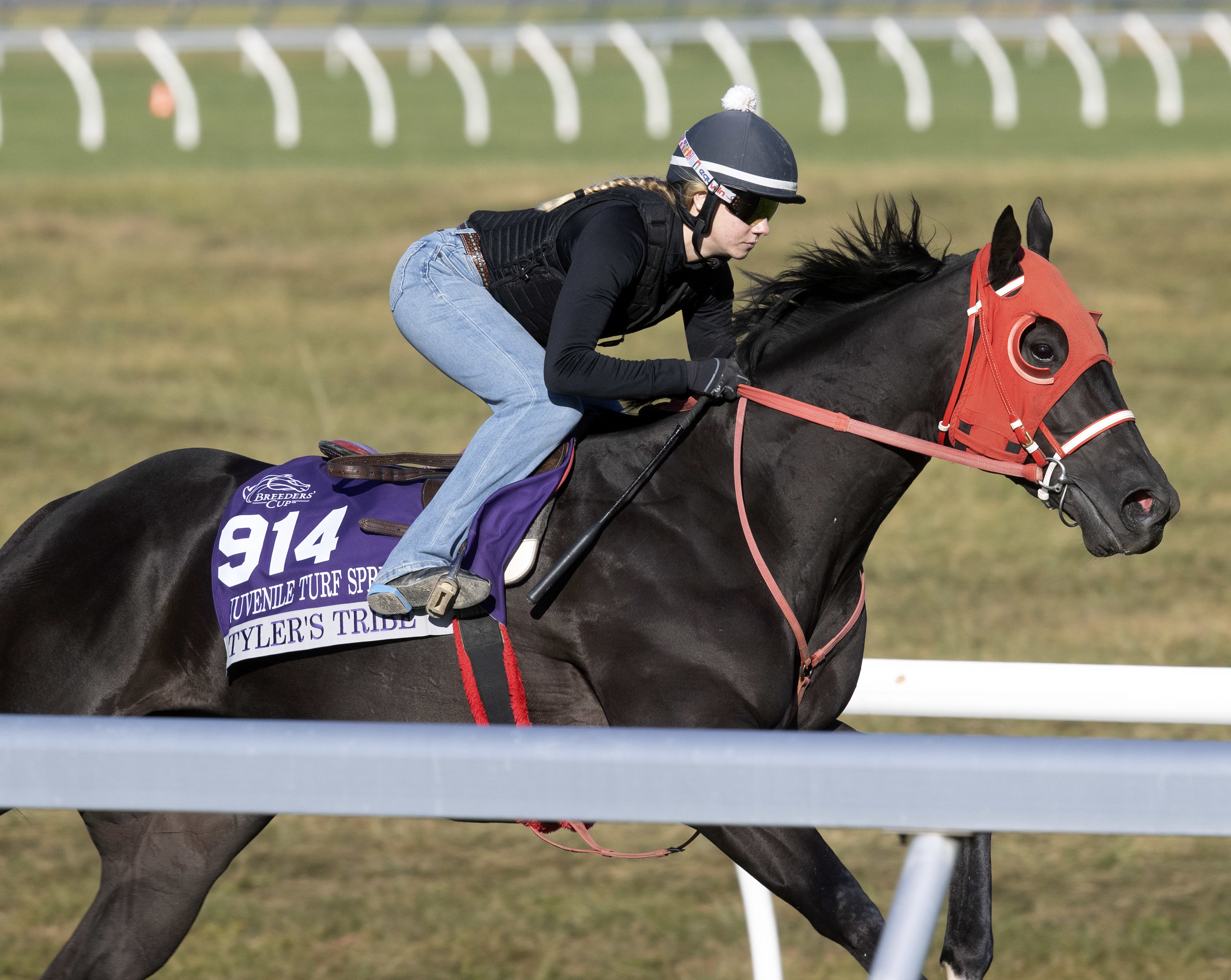 Tyler's Tribe breezes on turf at Keeneland Oct 29 2022