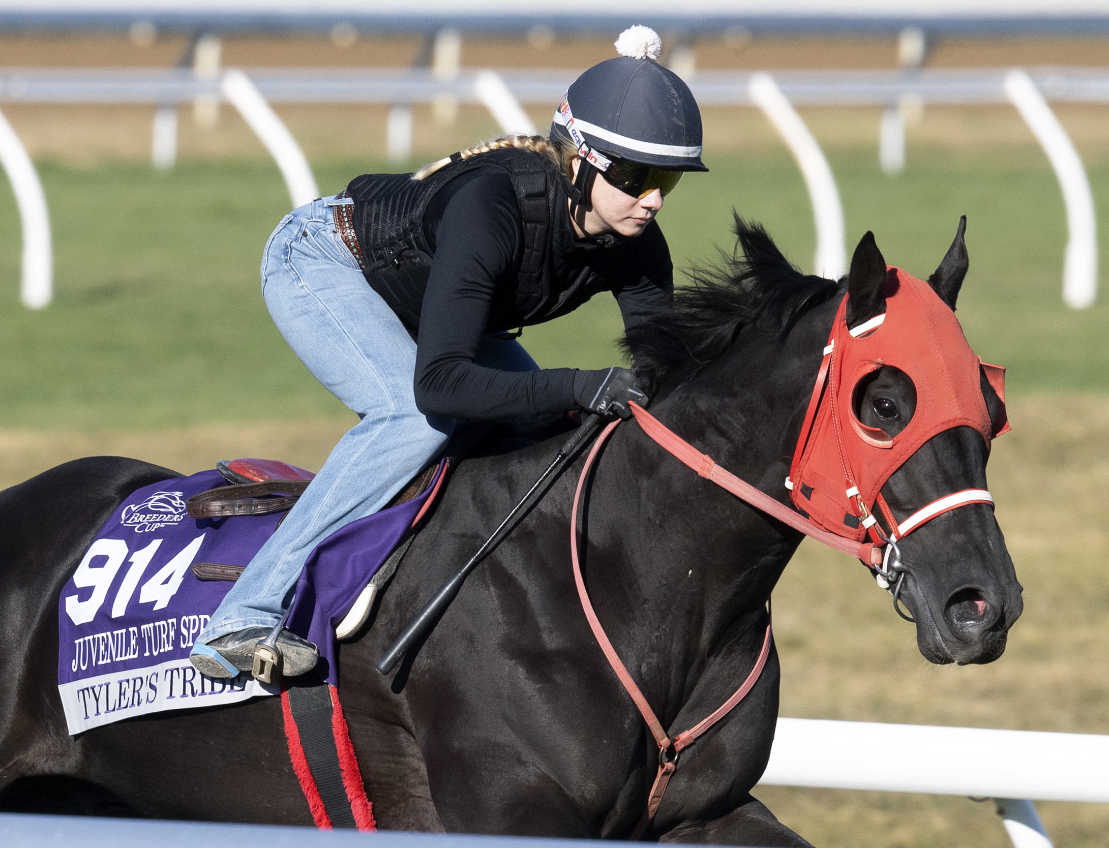 Tyler's Tribe works on turf at Keeneland Oct 29 2022