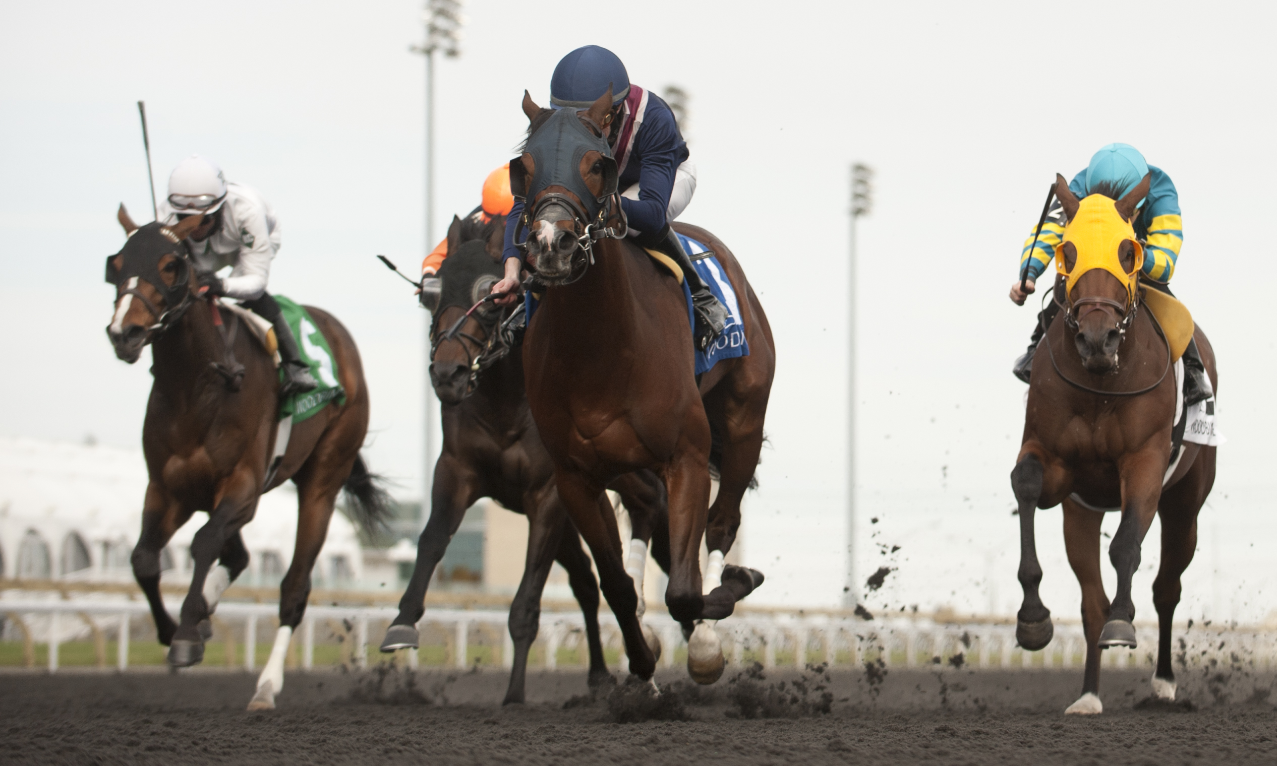 U S Marshal wins 2015 Wando