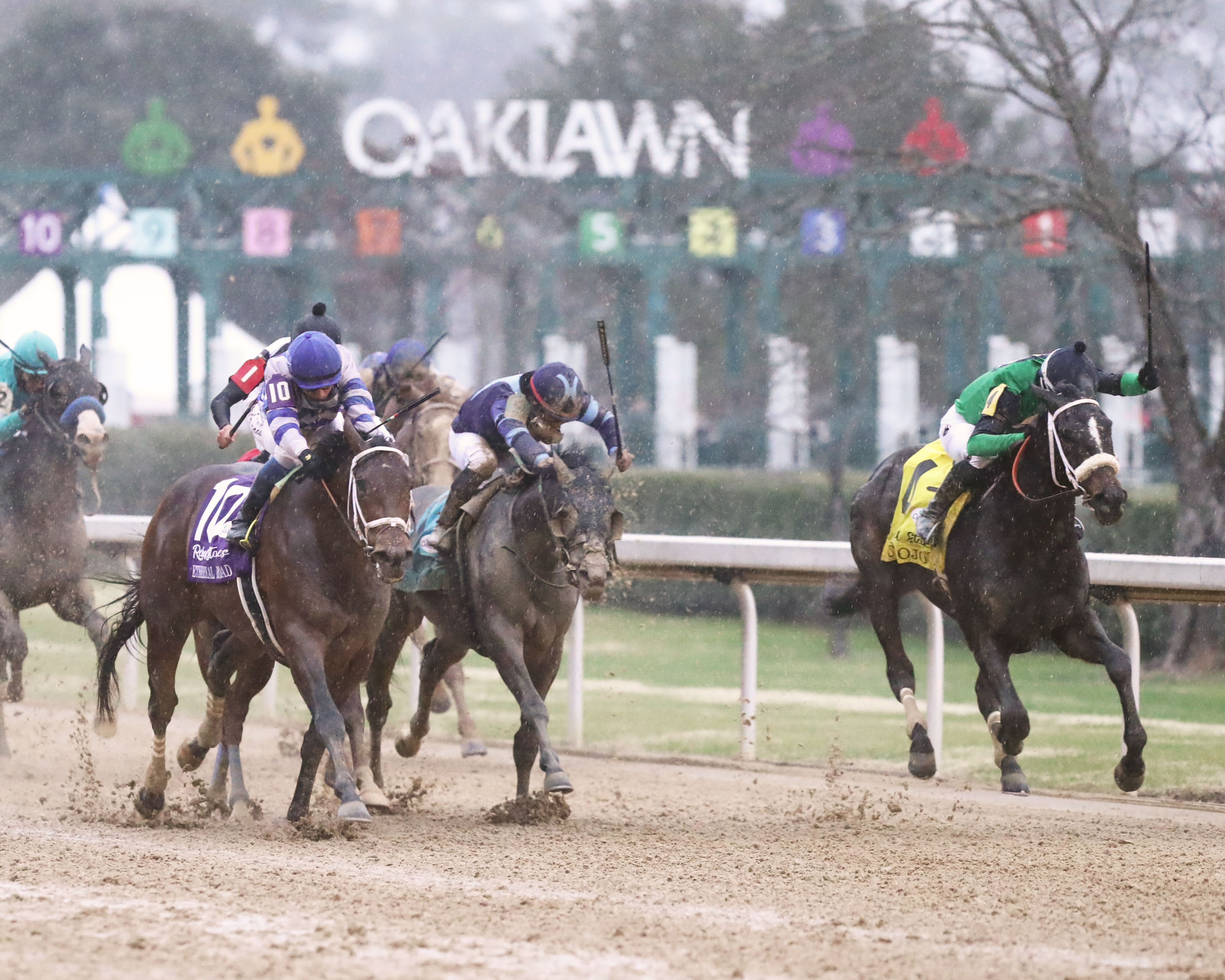 Un Ojo/Rebel Stakes
