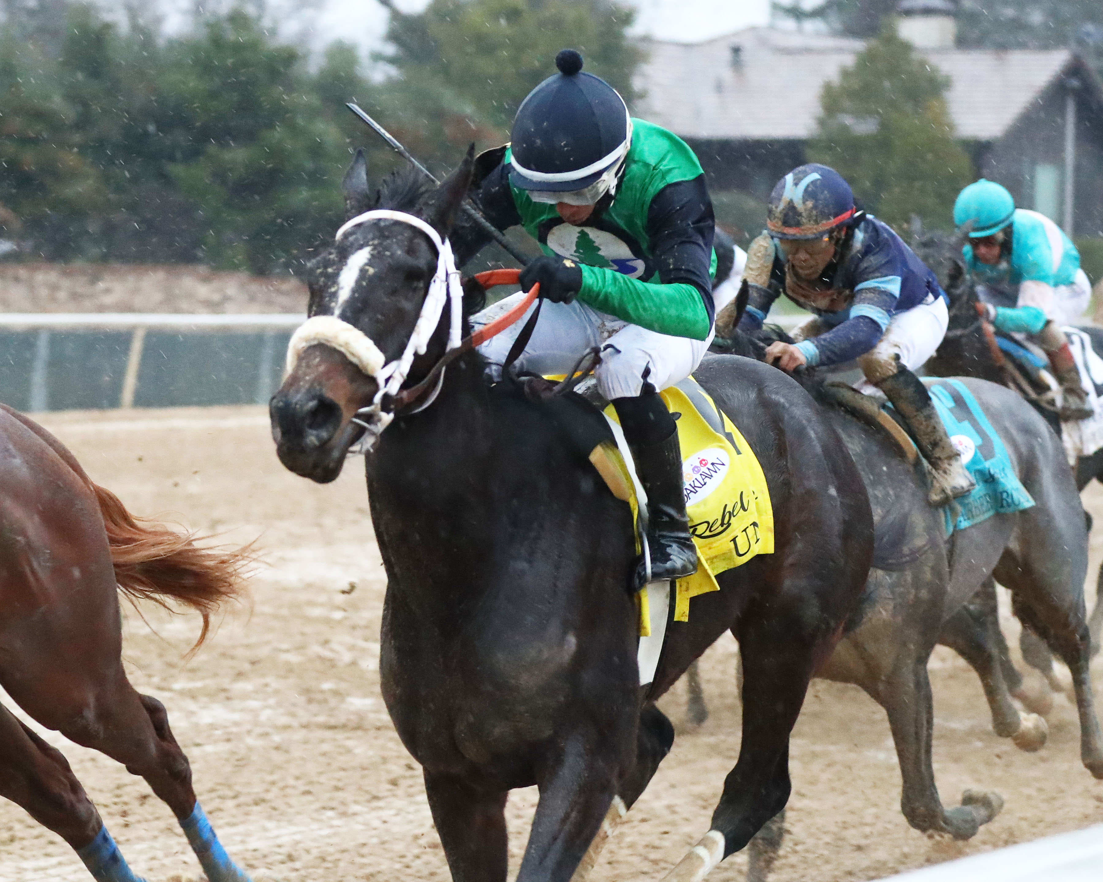 Un Ojo/Rebel Stakes