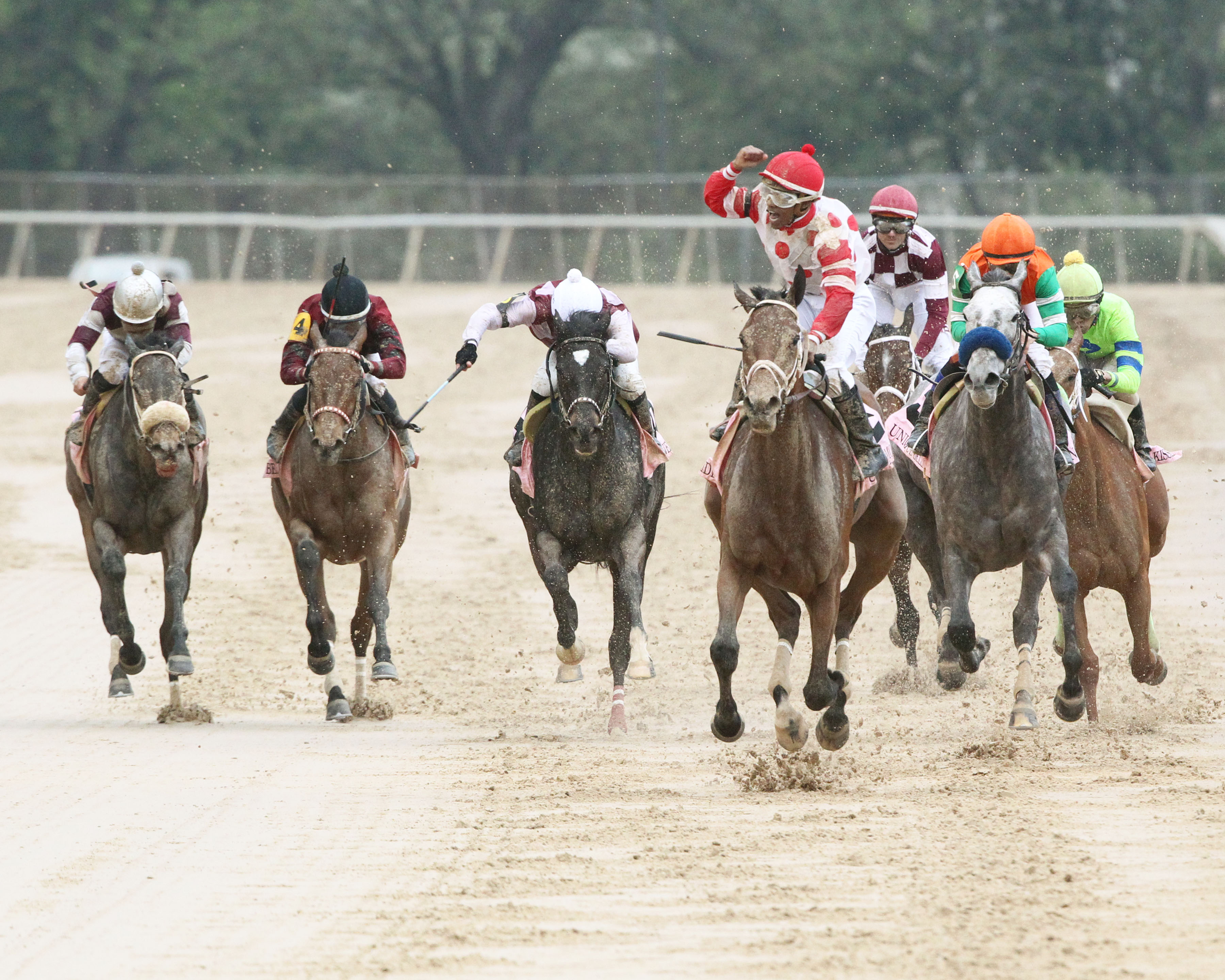 Unbridled Mo wins the 2018 Apple Blossom