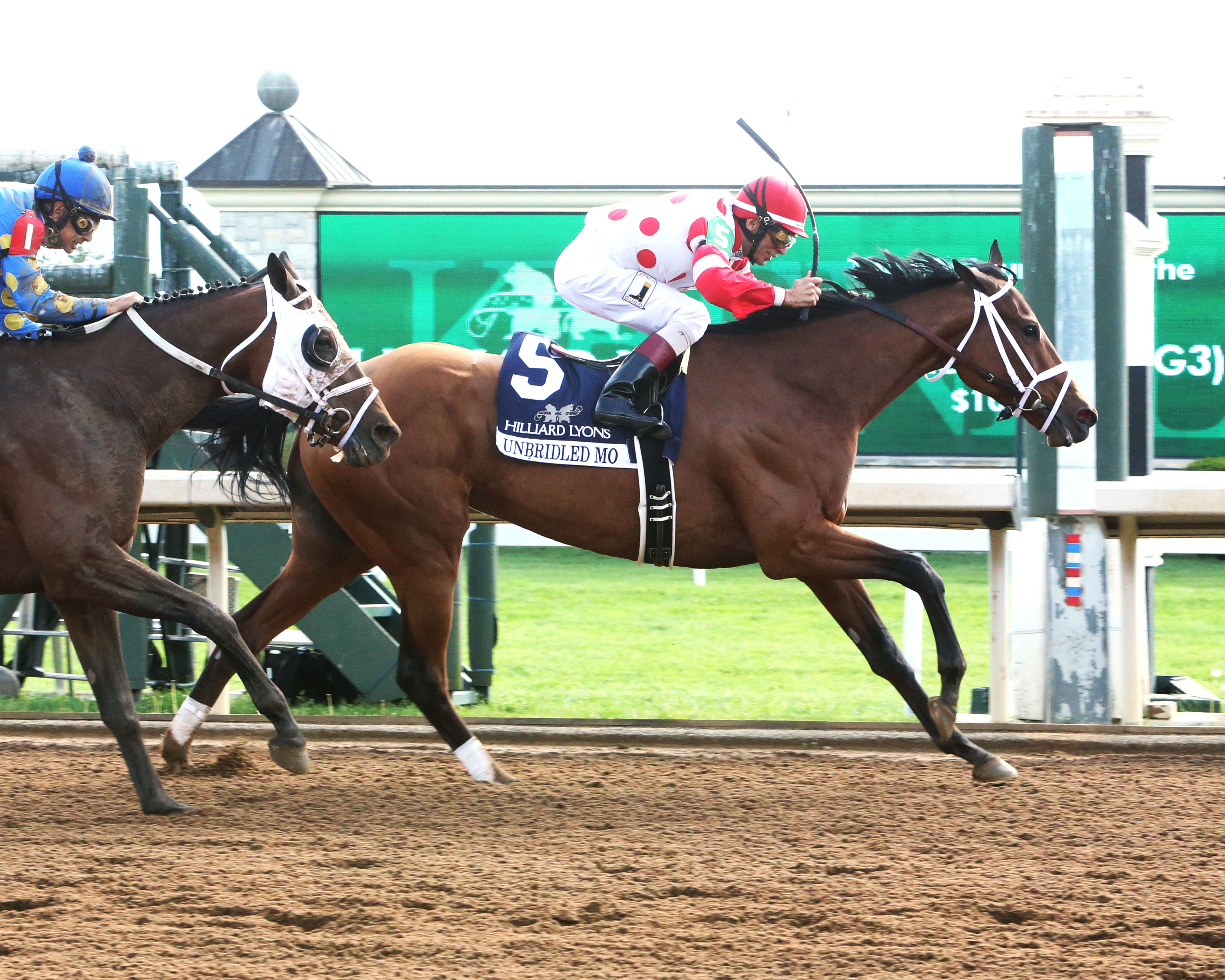 Unbridled Mo