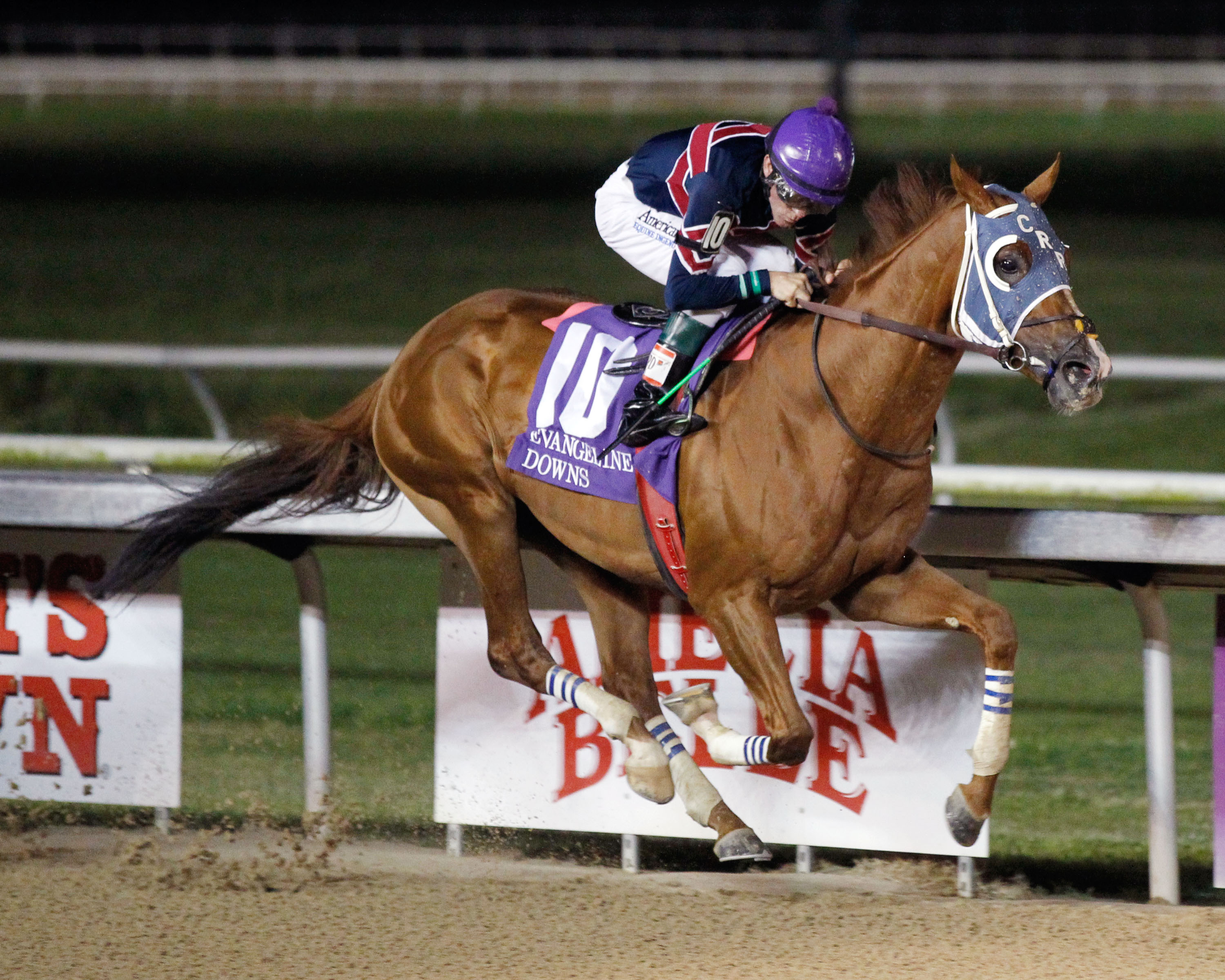 Underpressure wins the 2019 Evangeline Downs Classic