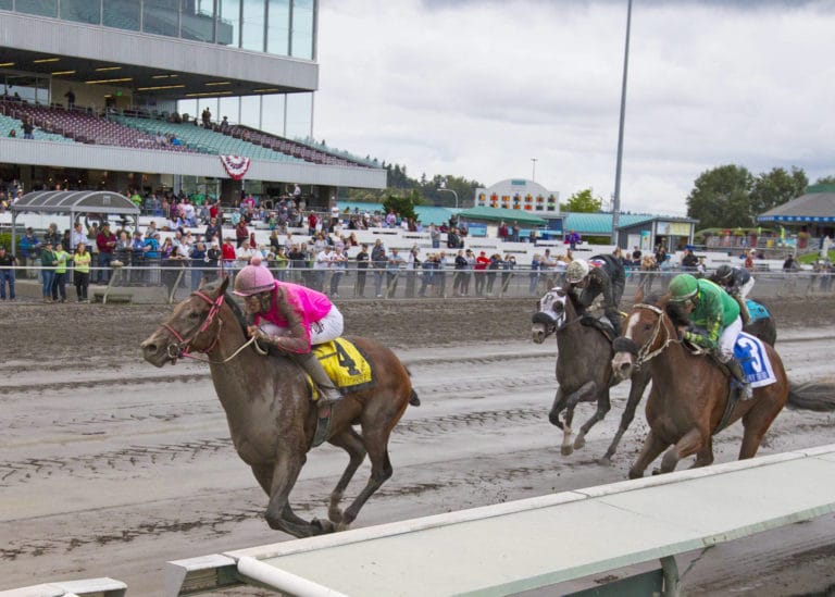 Unmachable wins the 2019 Washington Cup Juvenile