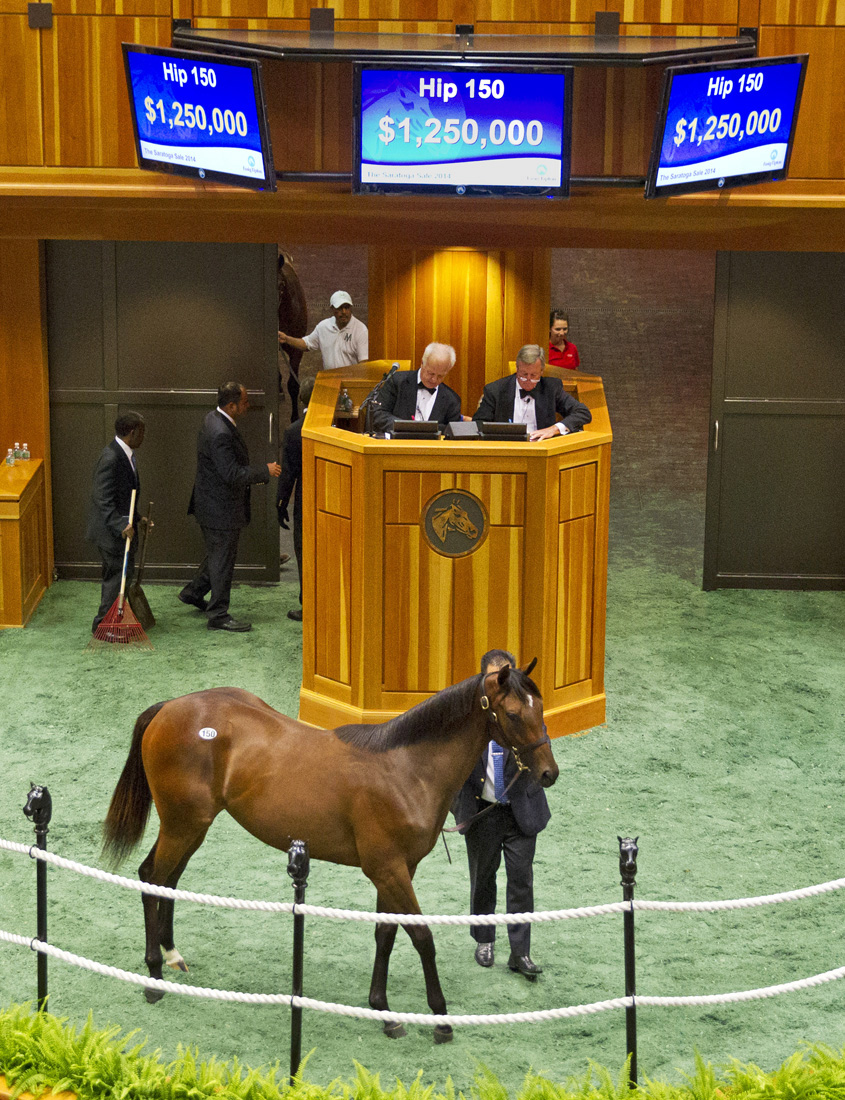 Sale topping War Front filly at Fasig-Tipton Saratoga