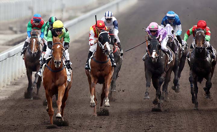 Ugly Warrior wins the 2018 Age-Friendly City Handicap