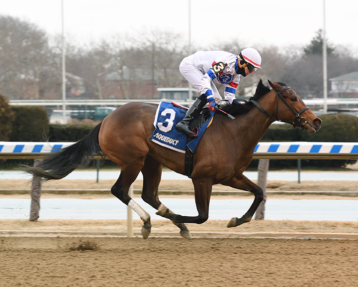 Ujjayi wins the 2019 Ruthless Stakes