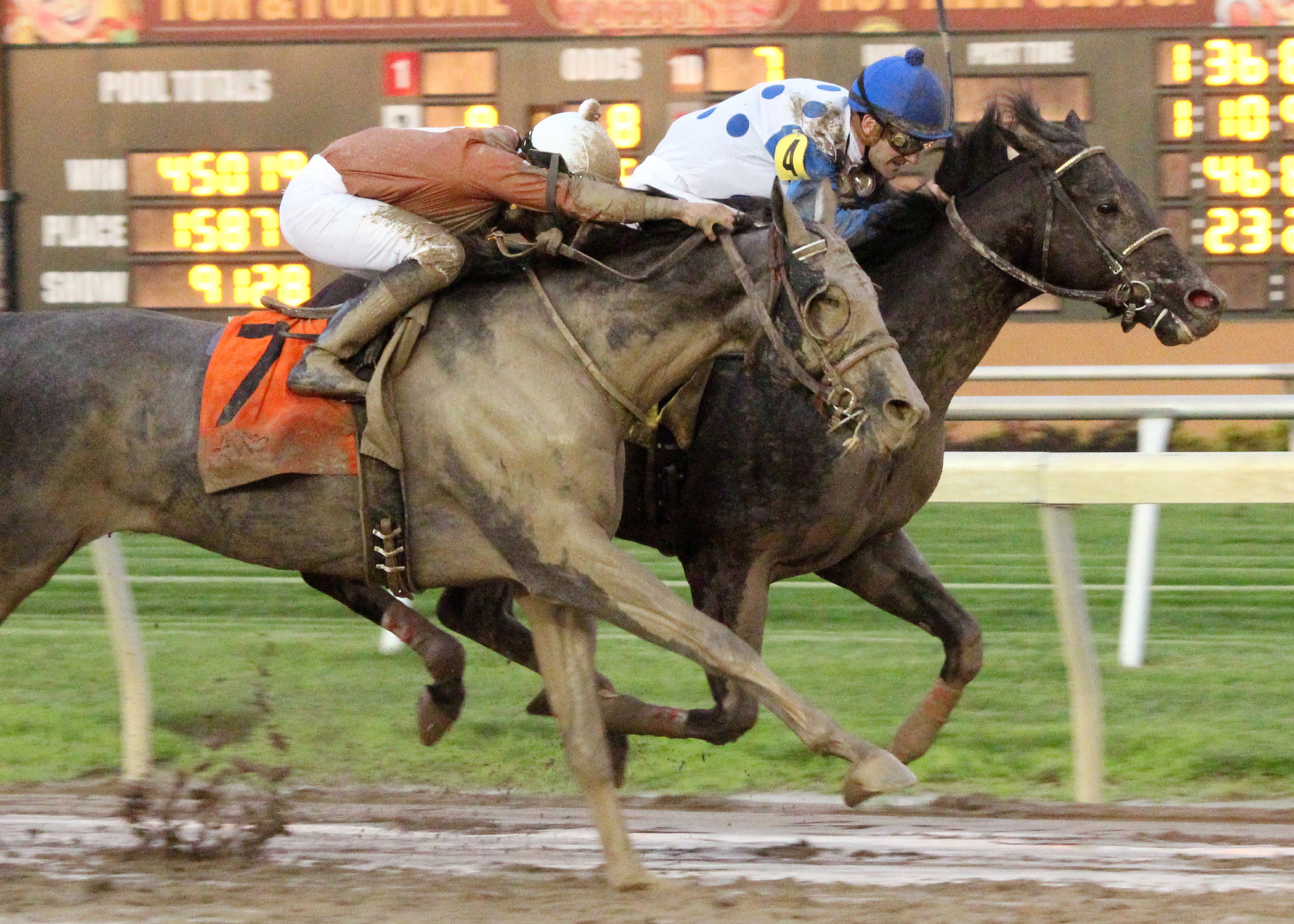 Geothermal finishes second in the Schaefer Memorial