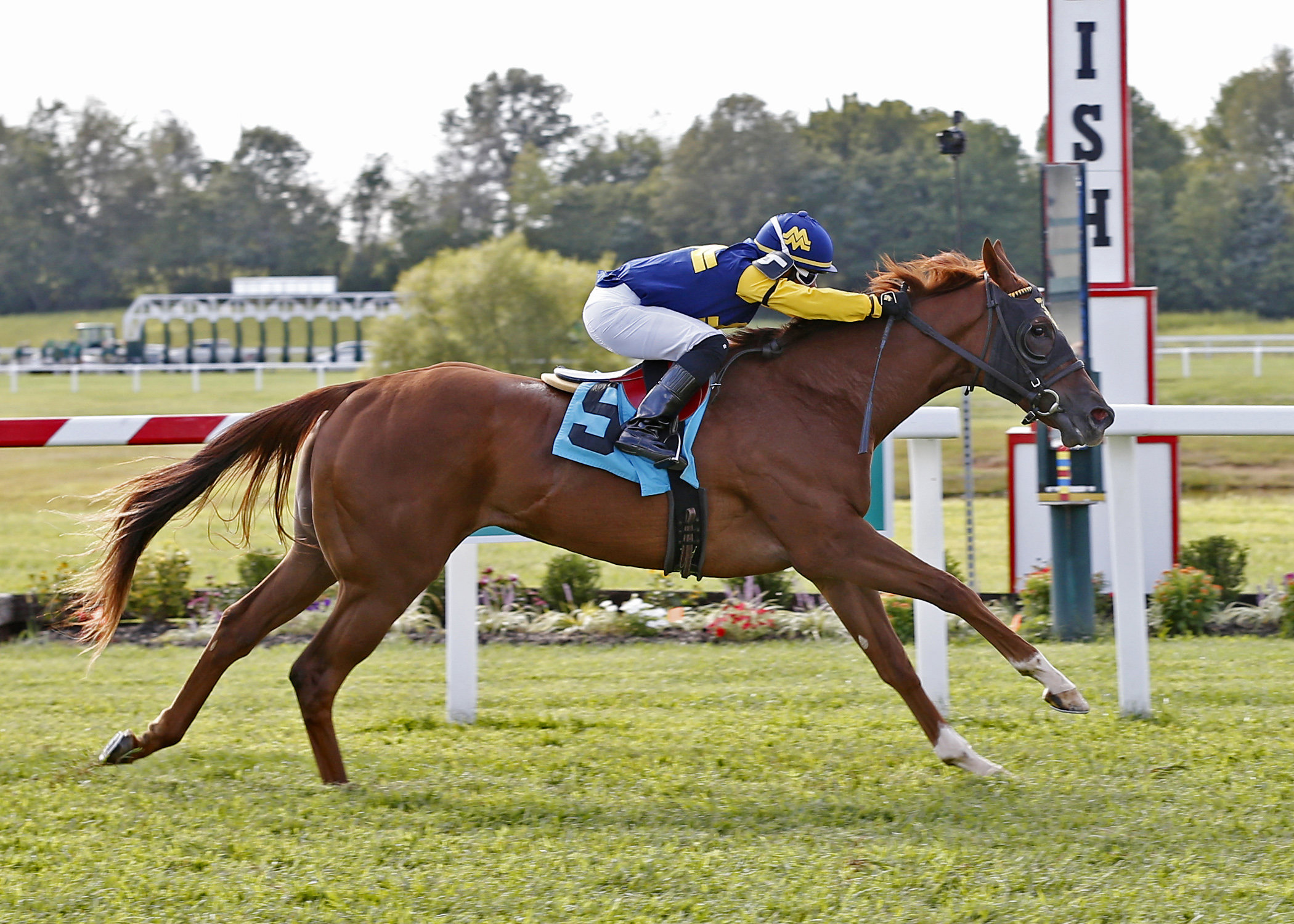 Ultima D wins the 2017 Juvenile Fillies Stakes