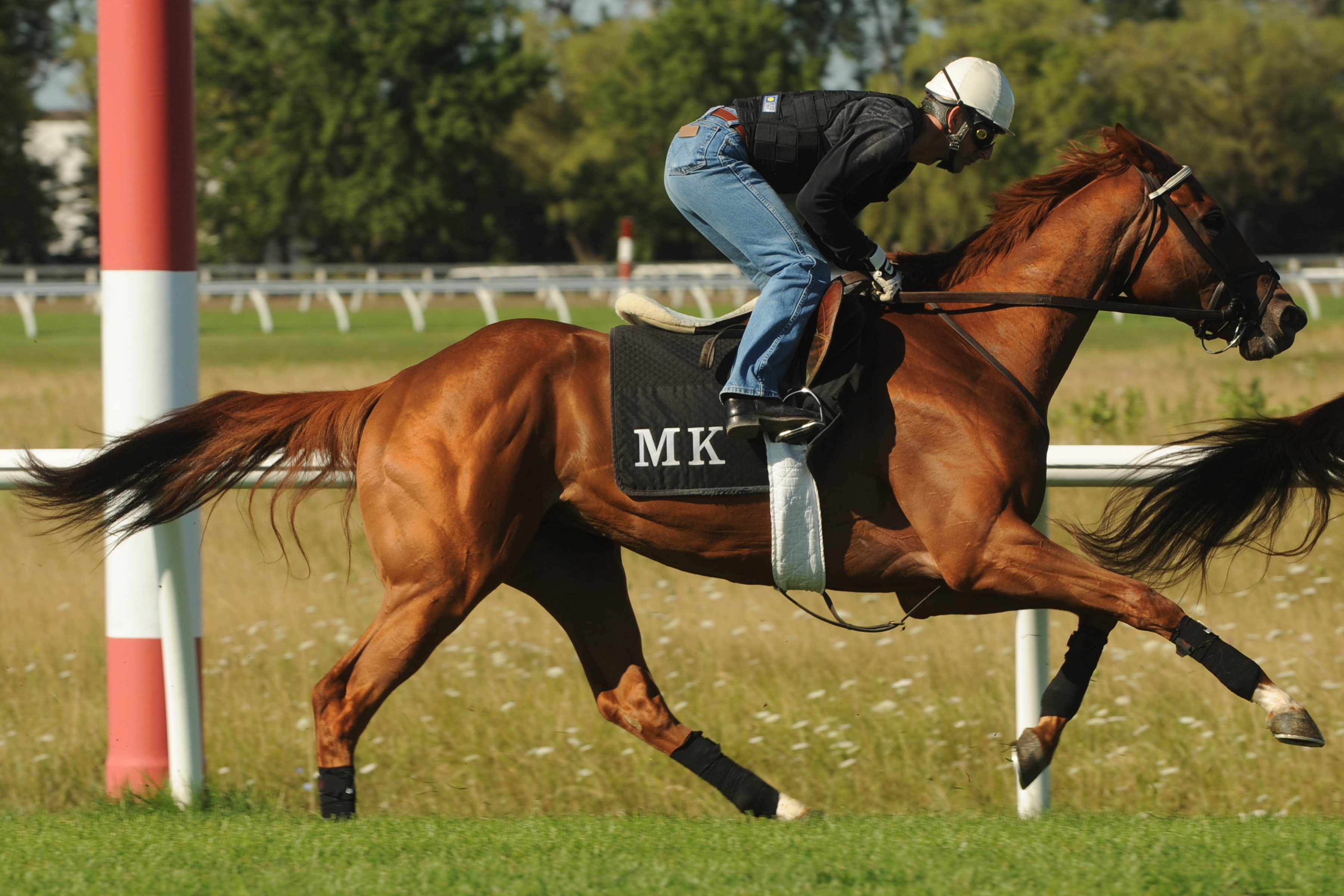 Ultimate Destiny training at Woodbine