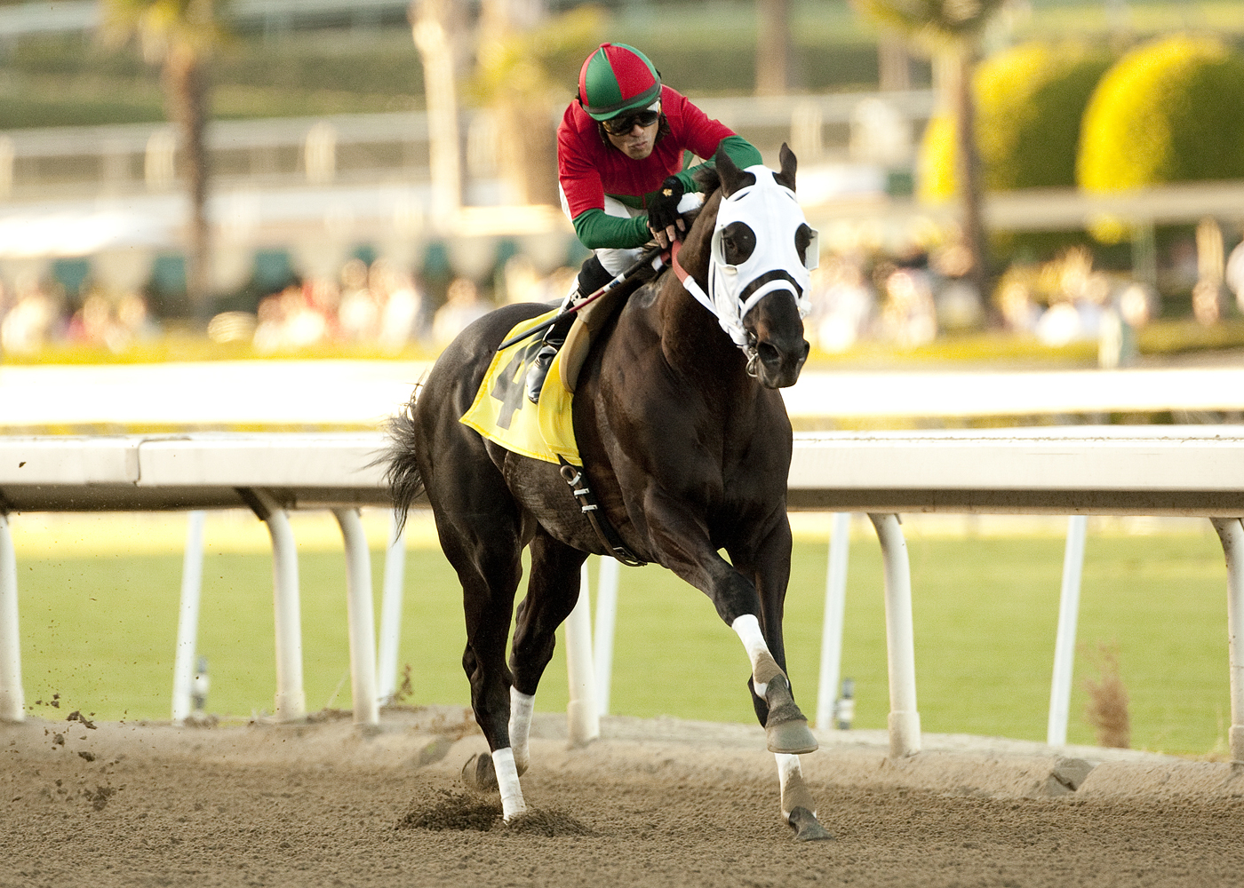 Ultimate Eagle, Strub Stakes
