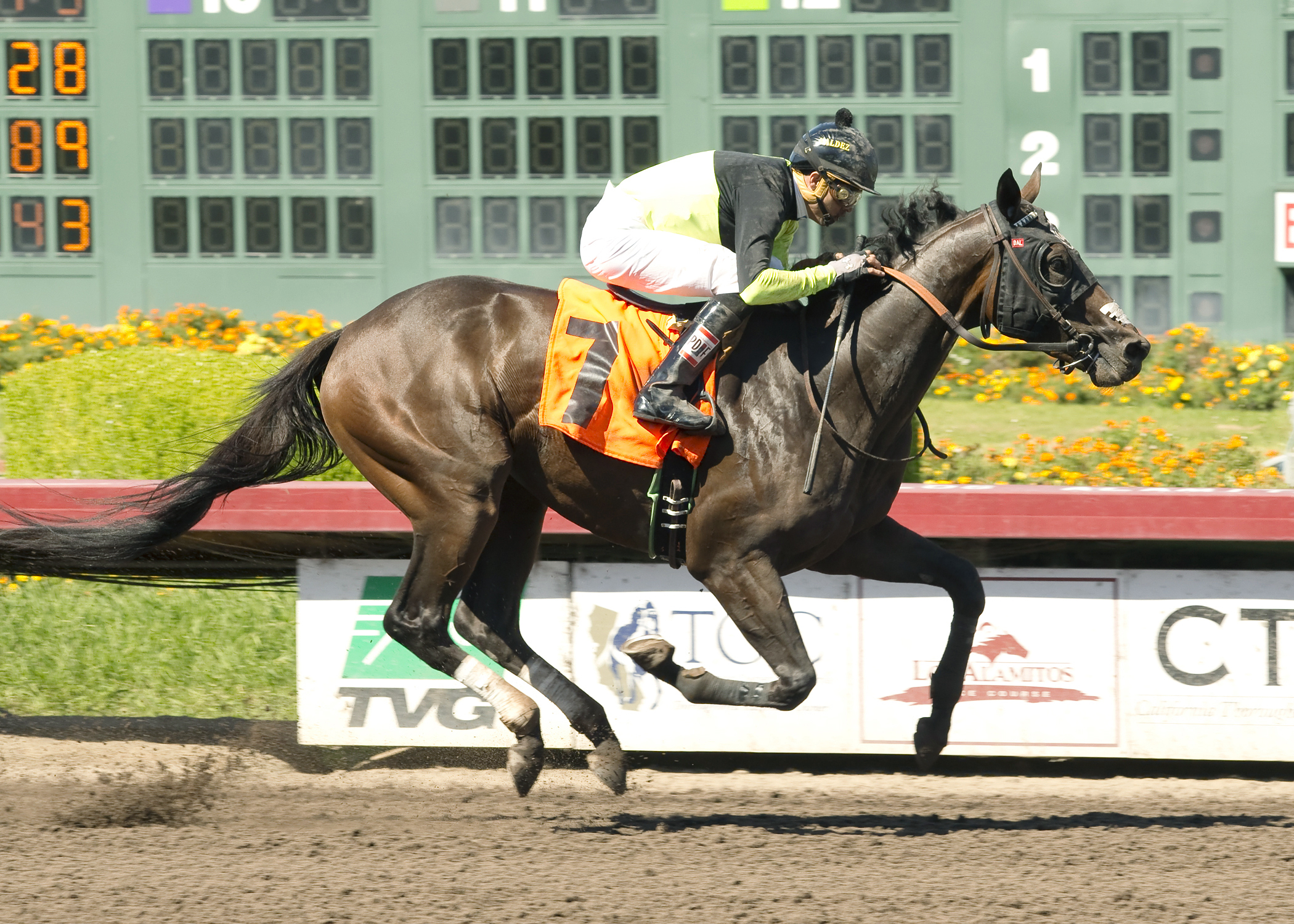 Ultimate Luck wins the 2015 Buena Park Stakes