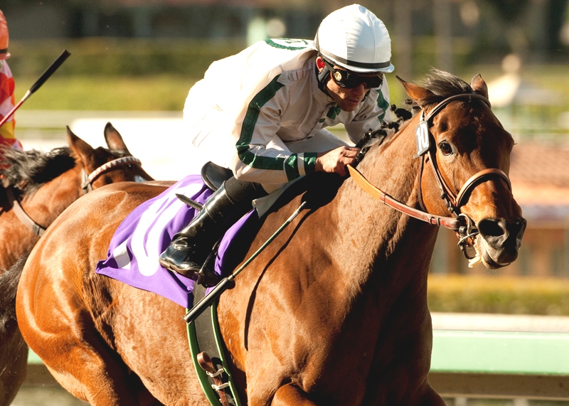 Ultra Blend, Valentine Dancer, Feb. 26, 2011