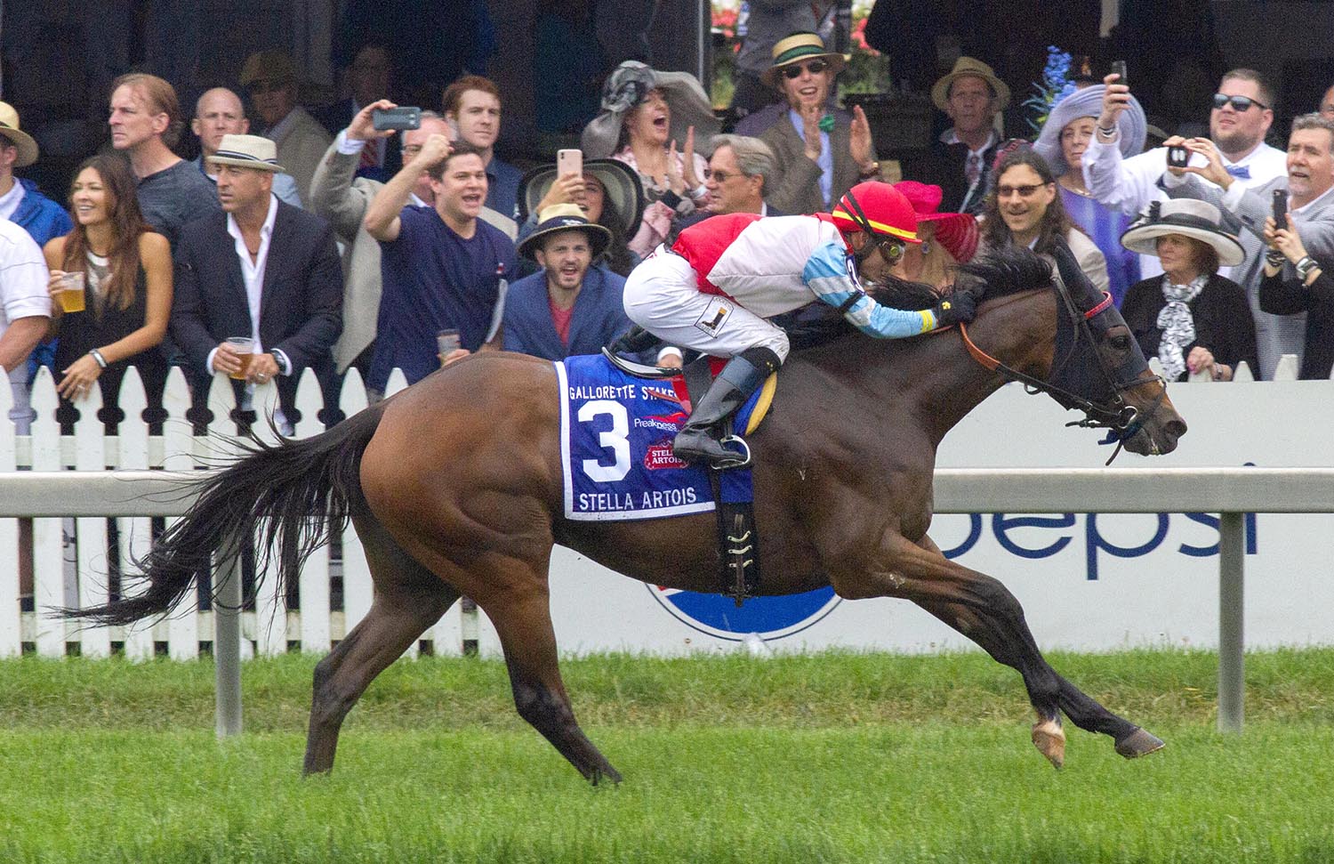 Ultra Brat wins the 2018 Gallorette