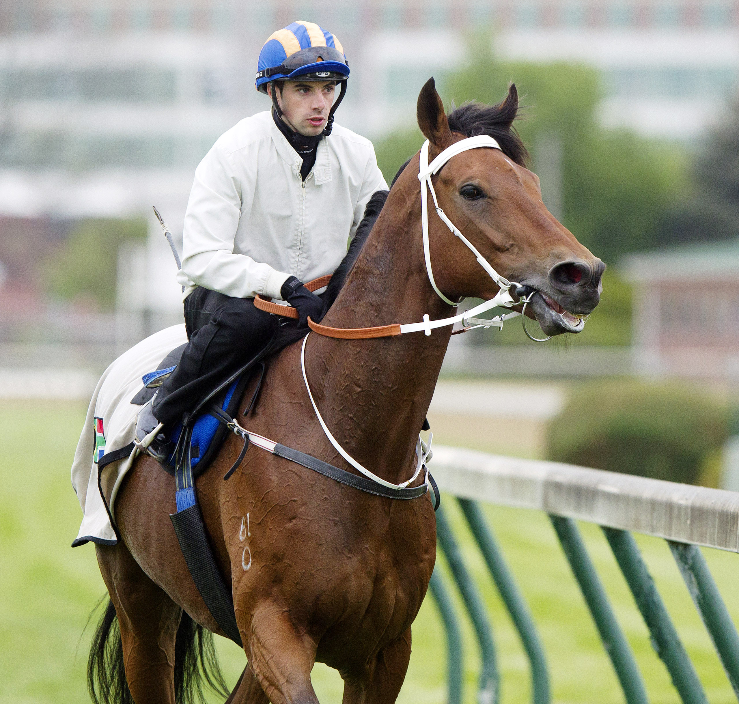 Umgiyo at Churchill Downs on April 30