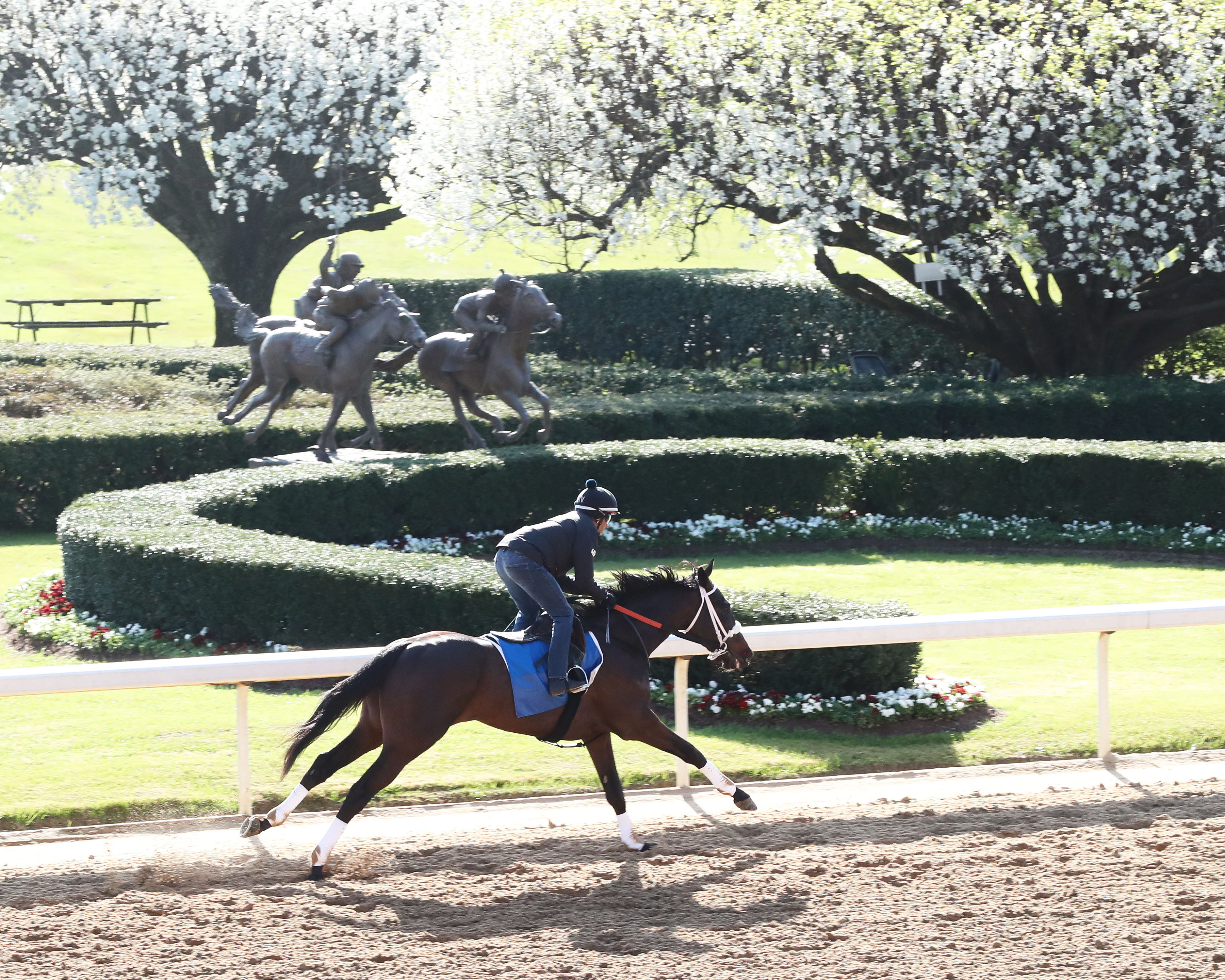 Un Ojo 3.26 work, Oaklawn