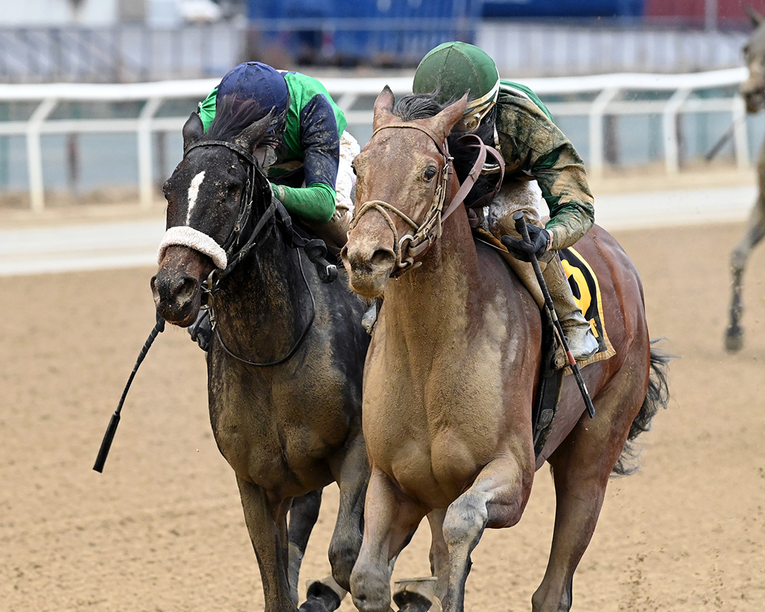 Un Ojo (left) finishes second in the 2021 Great White Way Stakes at Aqueduct Racetrack